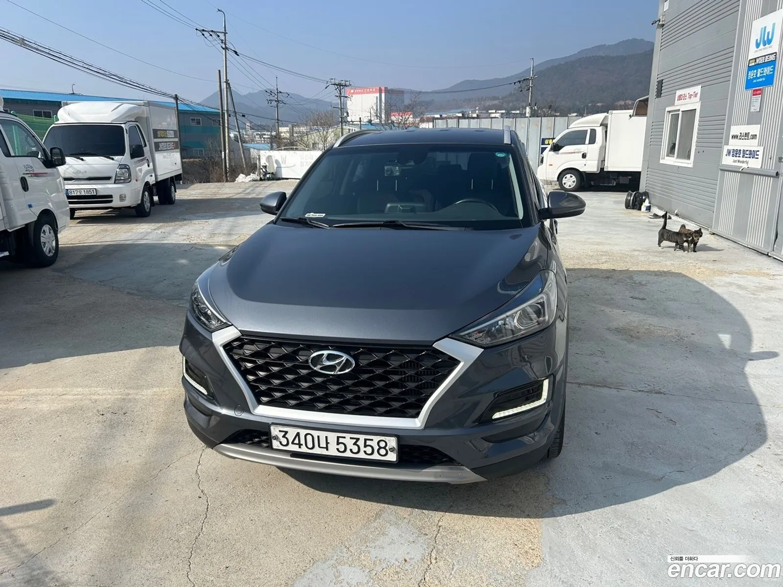 All New Tucson Diesel 20 2Wd Modern - фотография 11368773