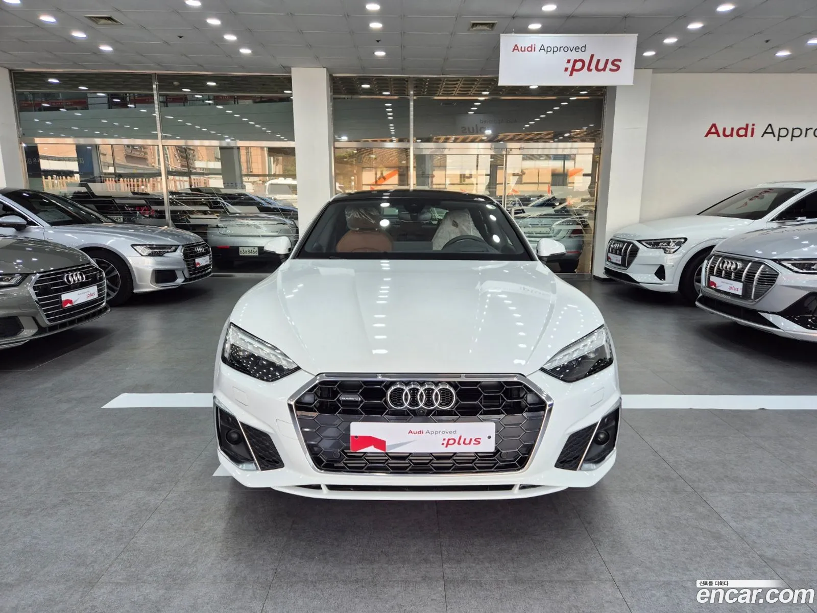Korex Auto Trade - фотография 11638149
