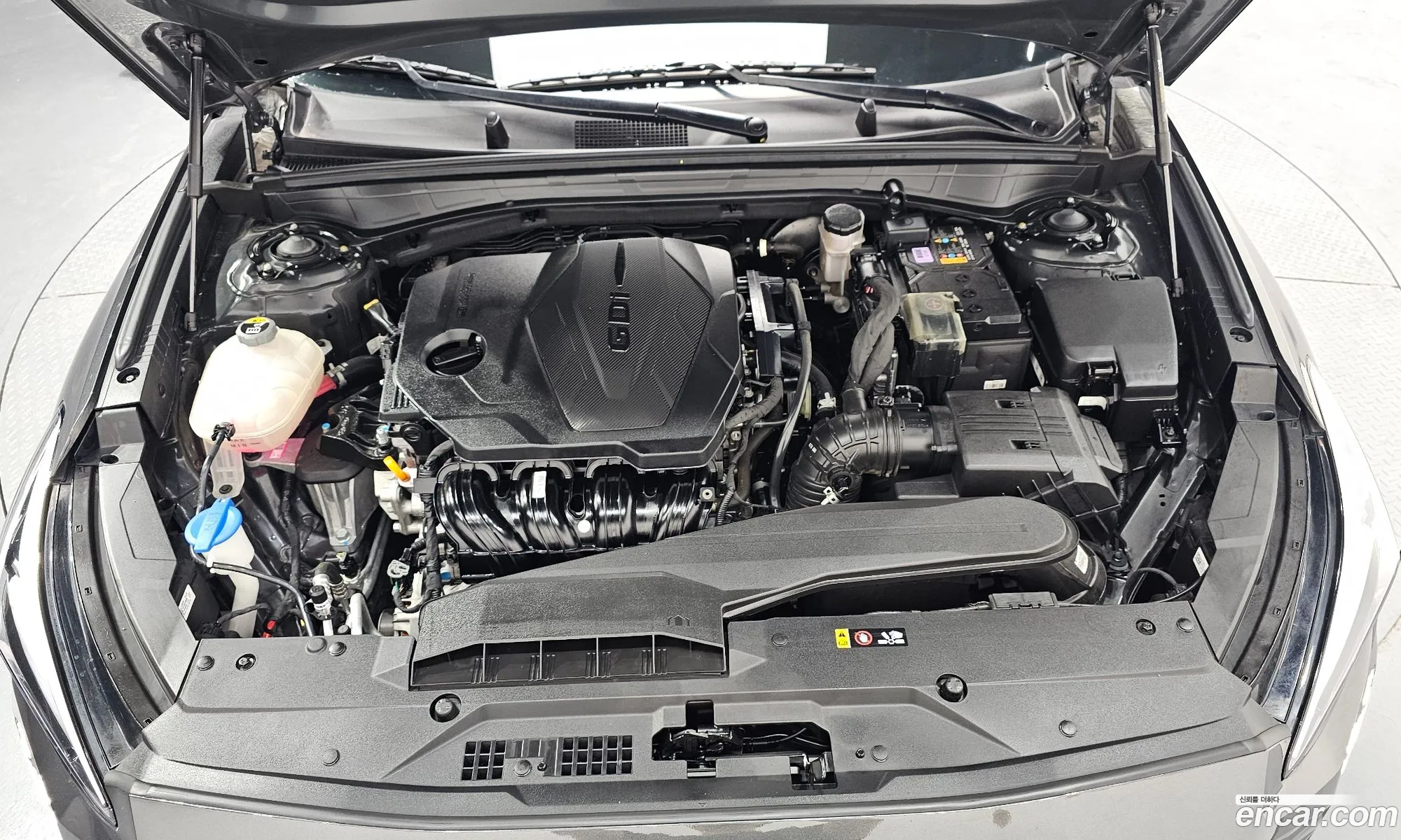 Korex Auto Trade - фотография 11791215