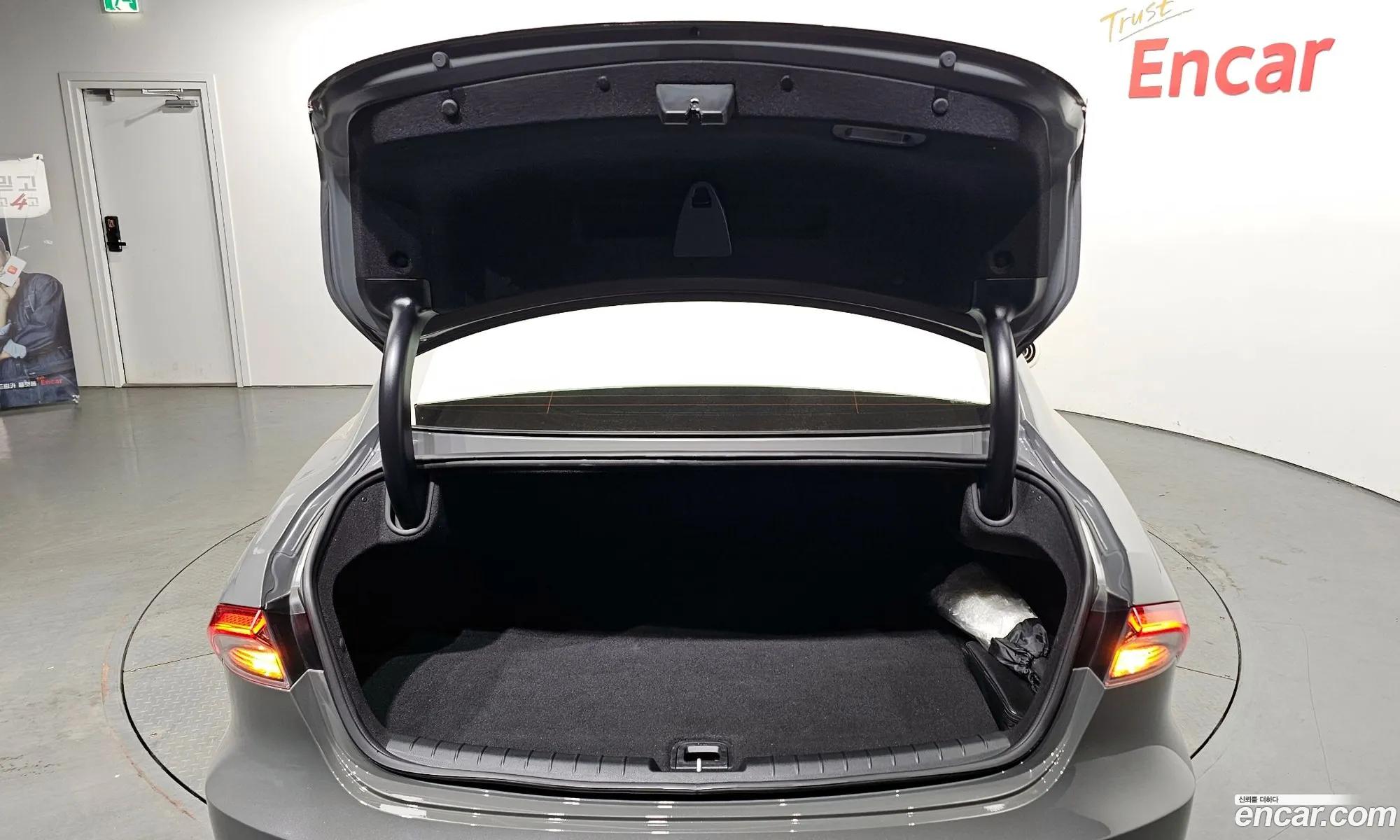 The New Grandeur Ig 30 Lpi For The Disabled Premium - фотография 14146206