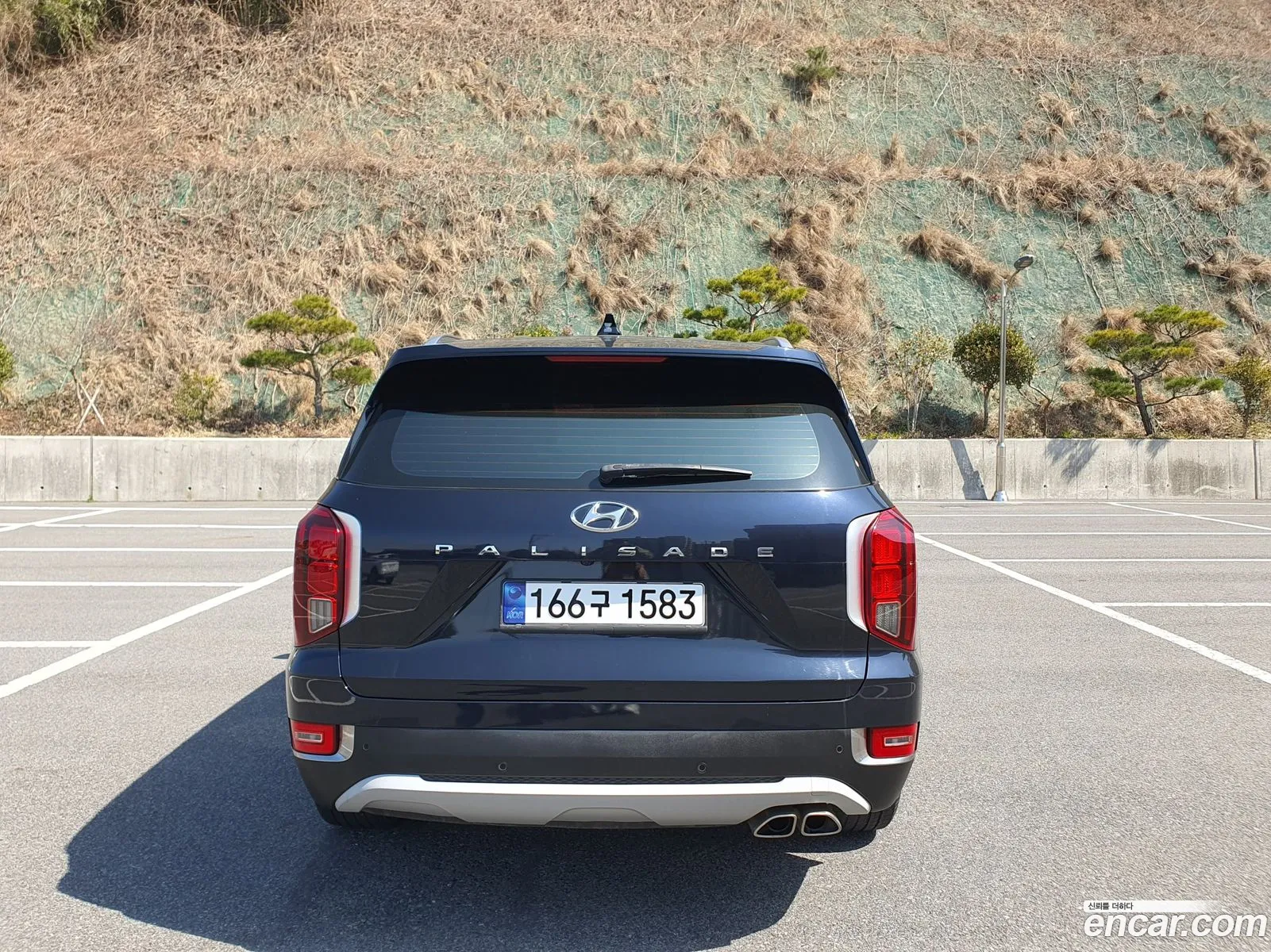 Korex Auto Trade - фотография 13139594