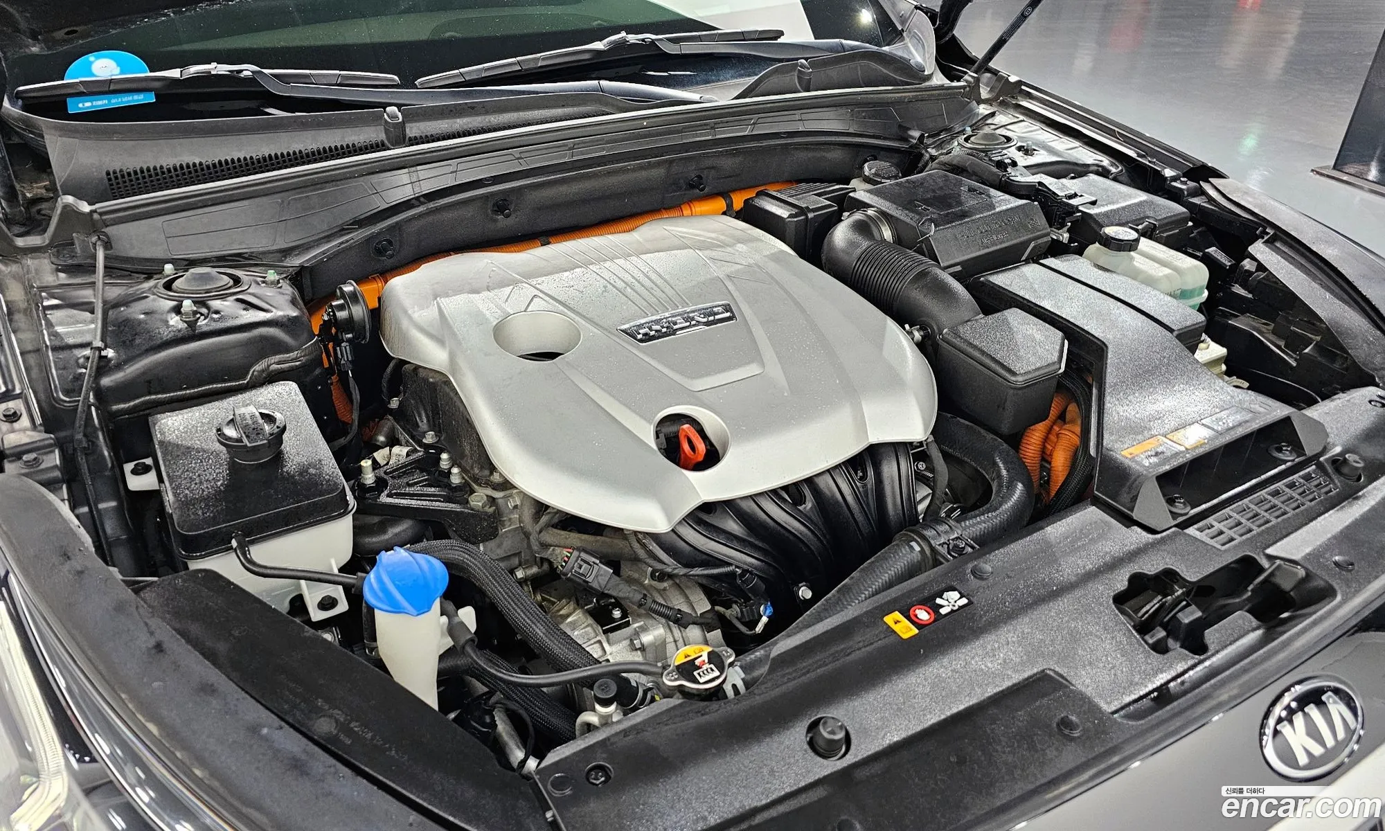 Korex Auto Trade - фотография 12393175