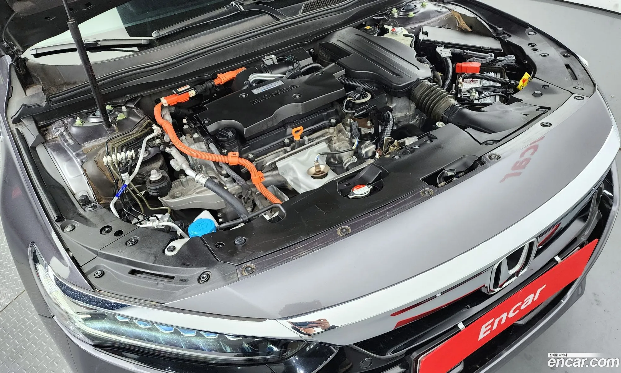 Korex Auto Trade - фотография 11136655