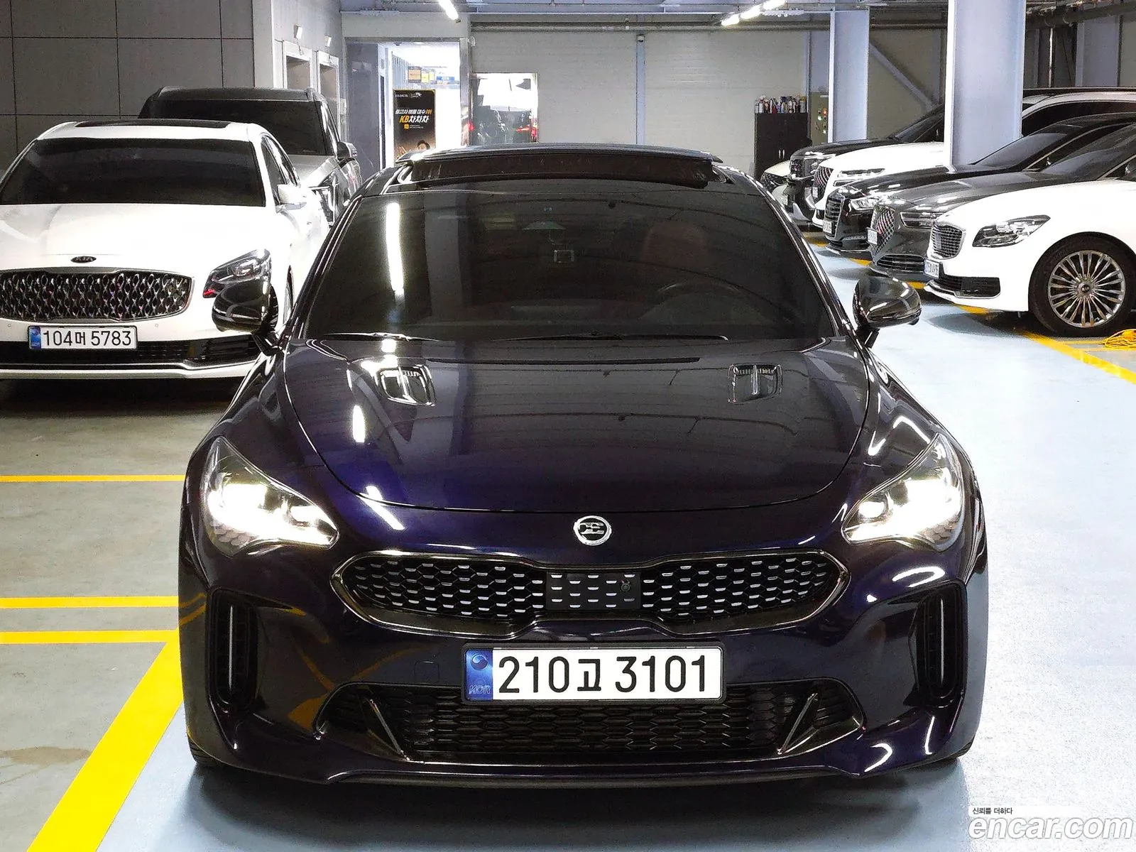 Korex Auto Trade - фотография 14173724