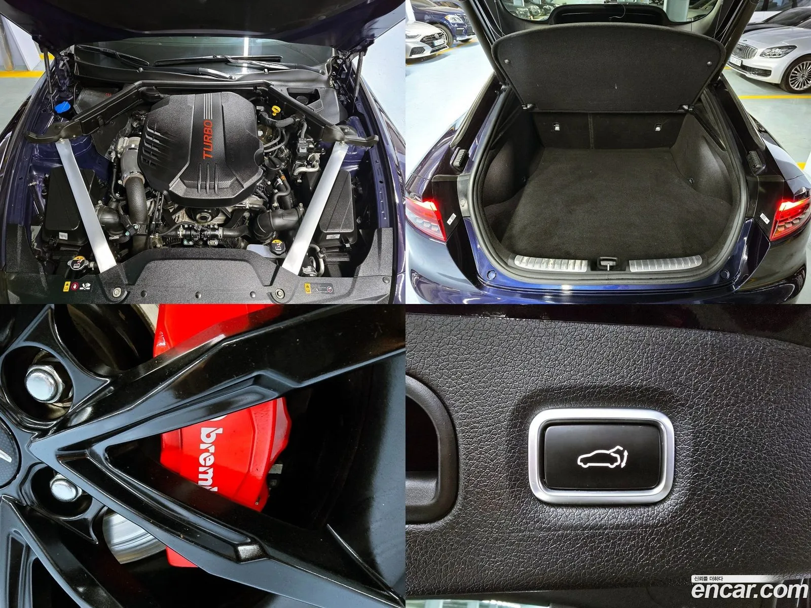 Korex Auto Trade - фотография 14173717