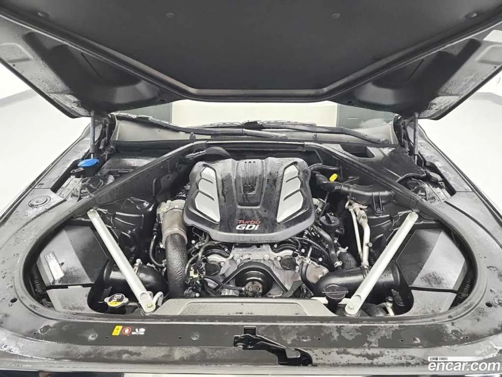Korex Auto Trade - фотография 12476458