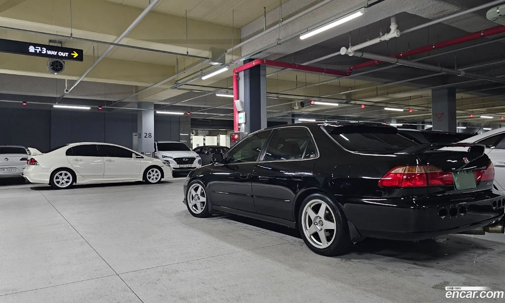 Korex Auto Trade - фотография 2069942