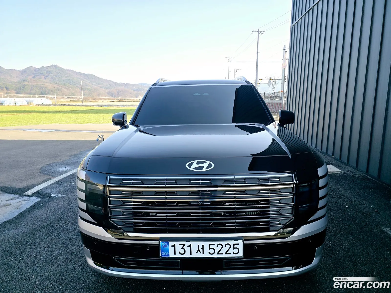 Palisade Lx3 Gasoline 25T 4Wd 7 -Seater Calligraphy - фотография 1609266