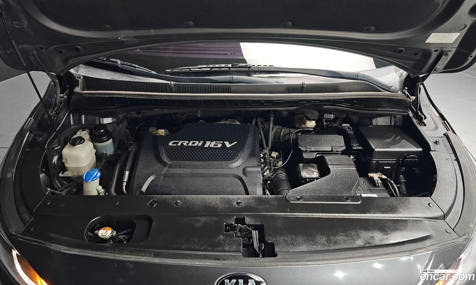 Korex Auto Trade - фотография 12659304
