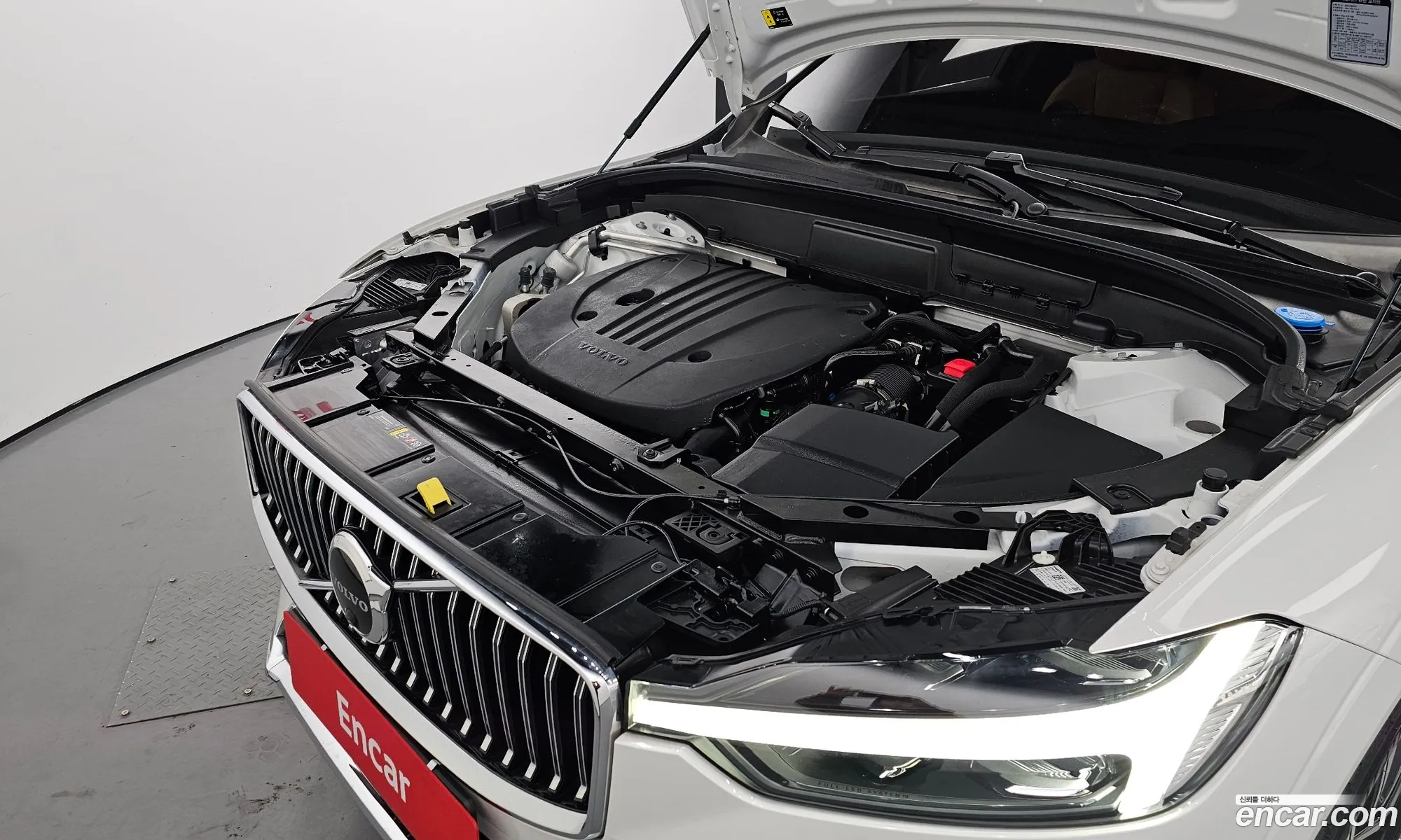 Korex Auto Trade - фотография 2471132