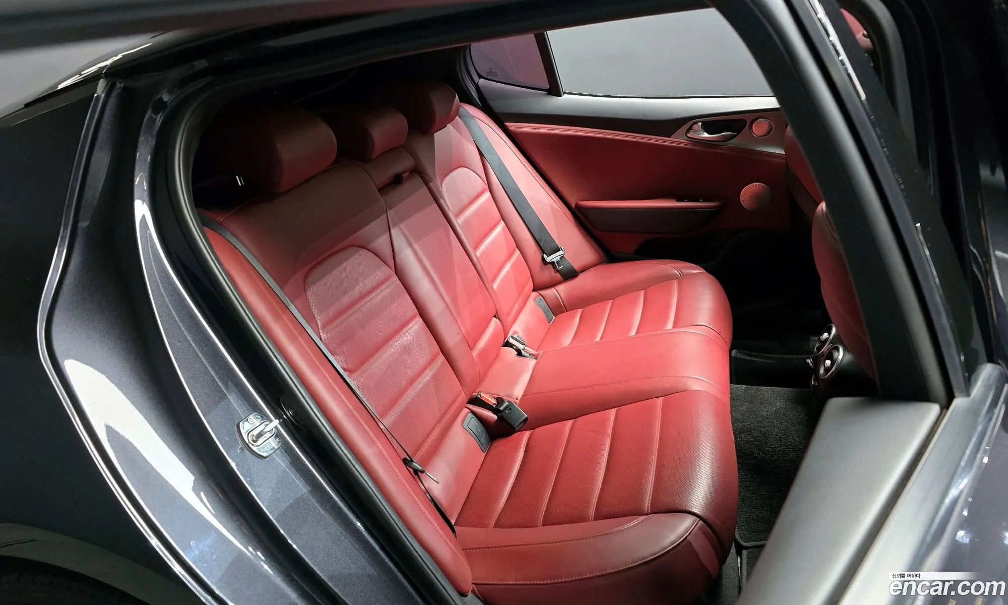 Korex Auto Trade - фотография 12608982