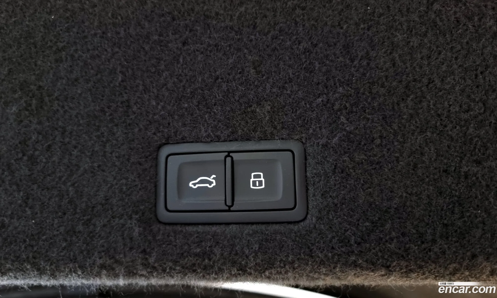 Urus 40 V8 - фотография 871356