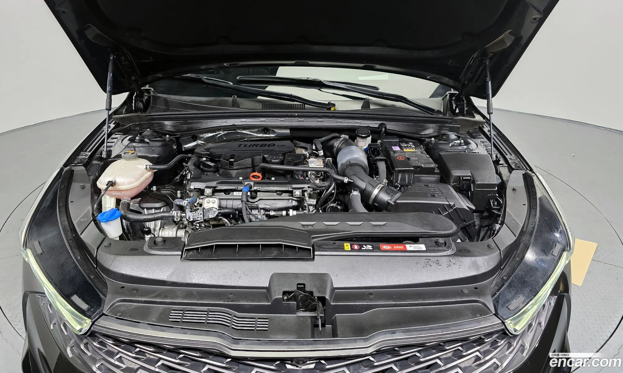 Korex Auto Trade - фотография 11945977