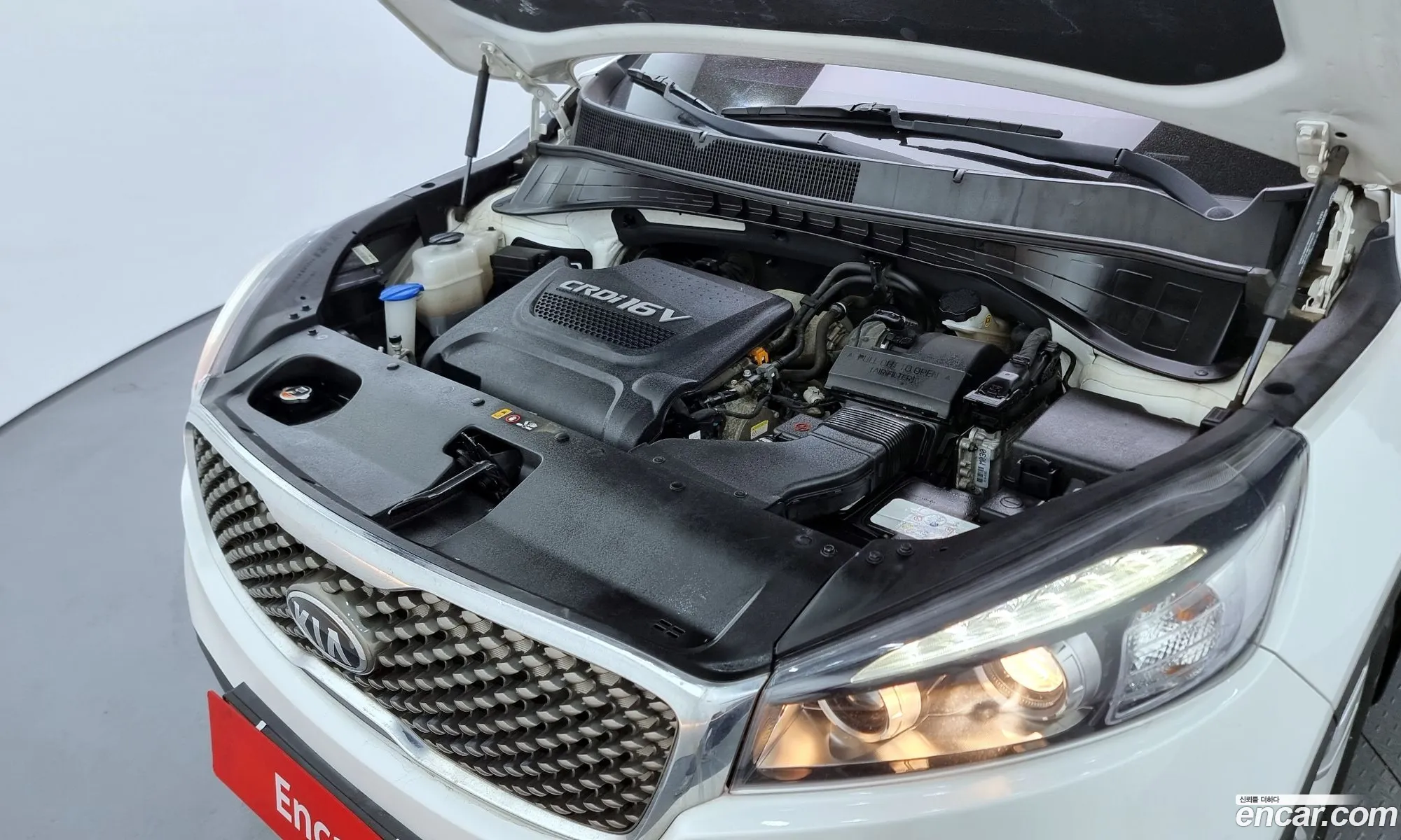 Korex Auto Trade - фотография 12206443