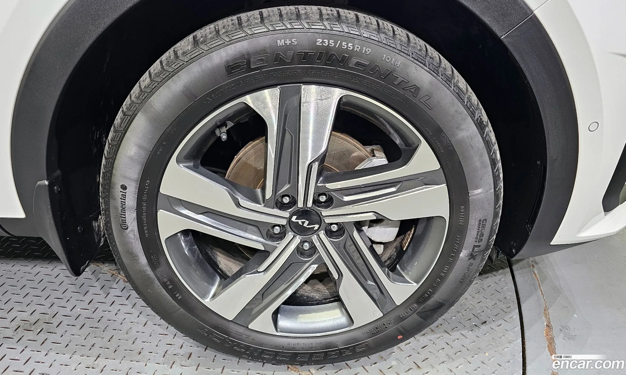 Korex Auto Trade - фотография 12389333