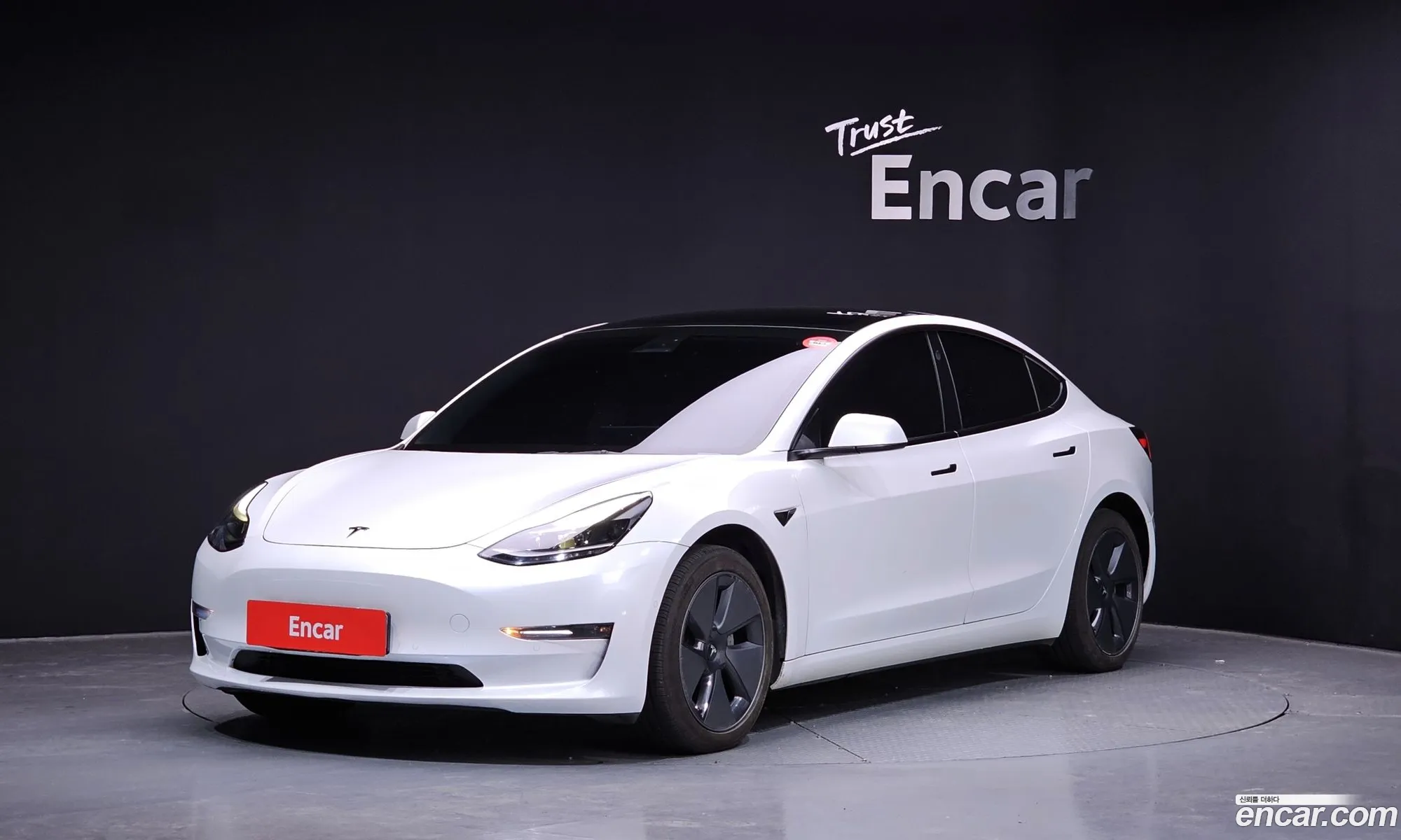 Model 3 Long Range - фотография 3509757