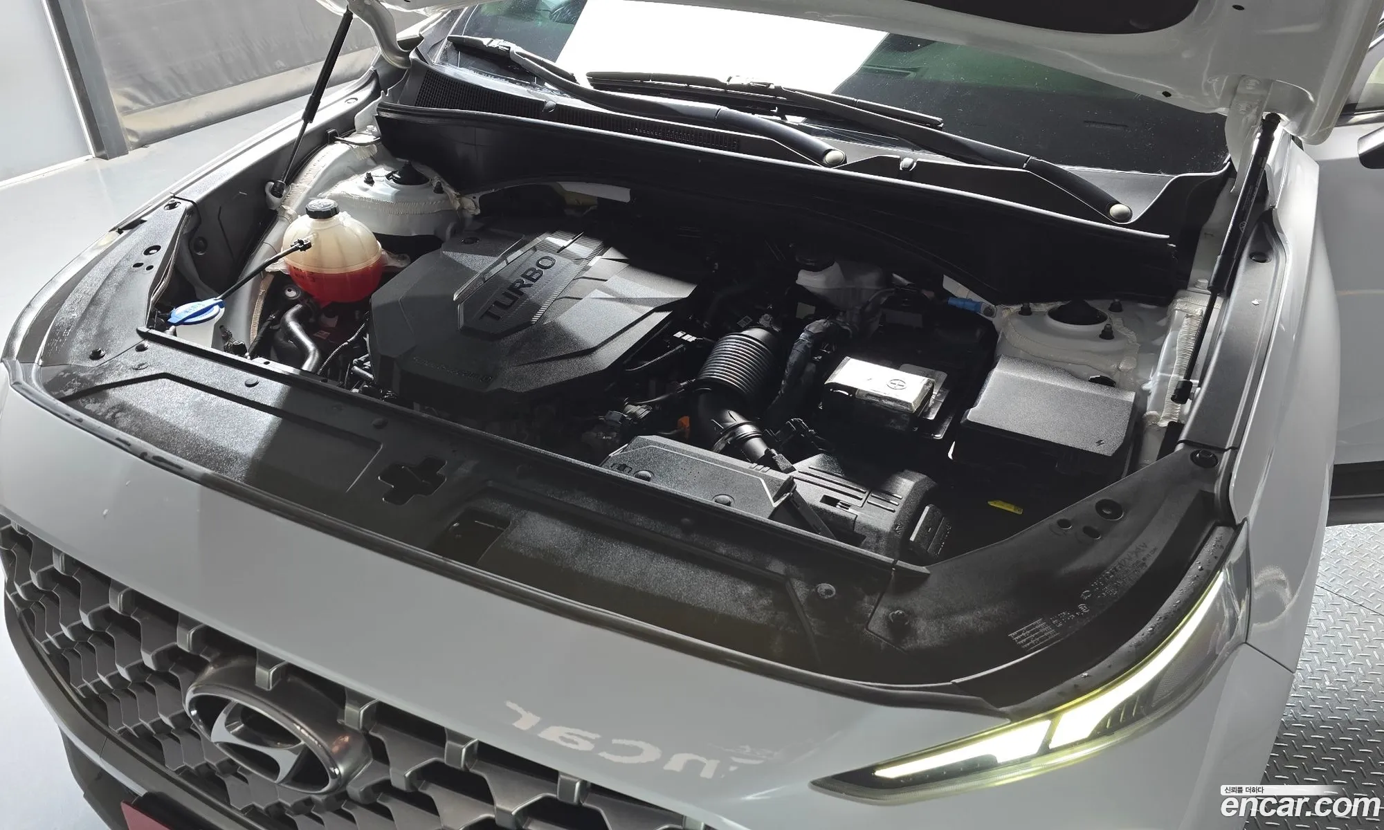 Korex Auto Trade - фотография 14390551