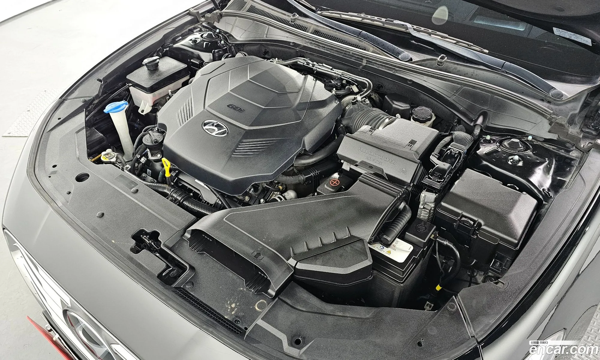 Korex Auto Trade - фотография 14204345