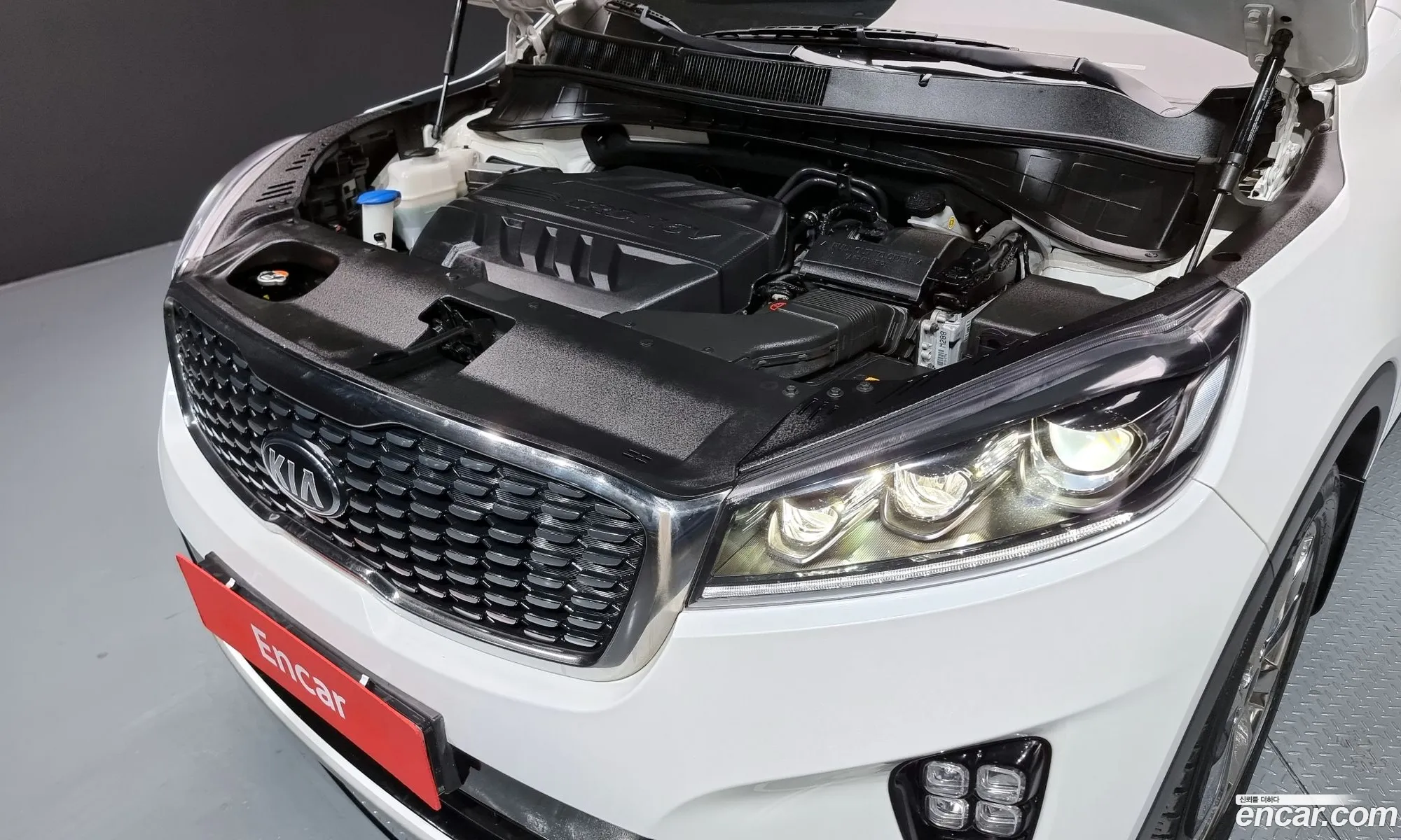 Korex Auto Trade - фотография 12442113