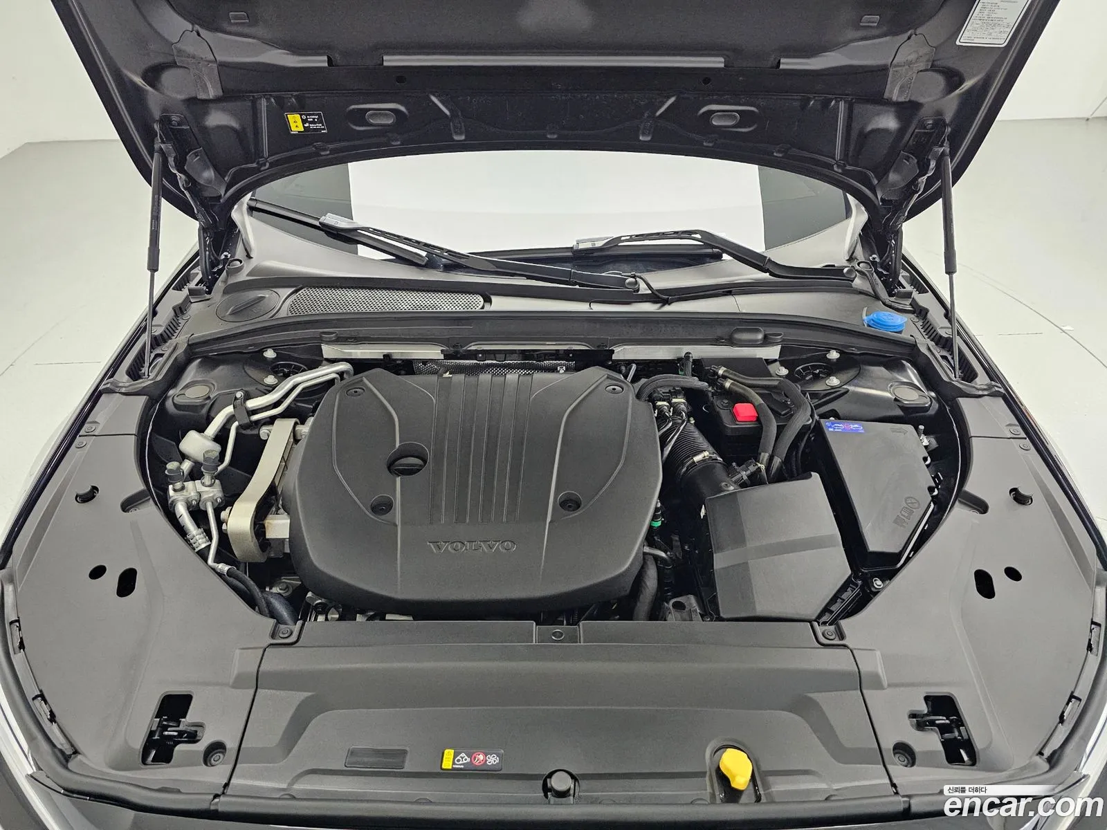 Korex Auto Trade - фотография 4025103