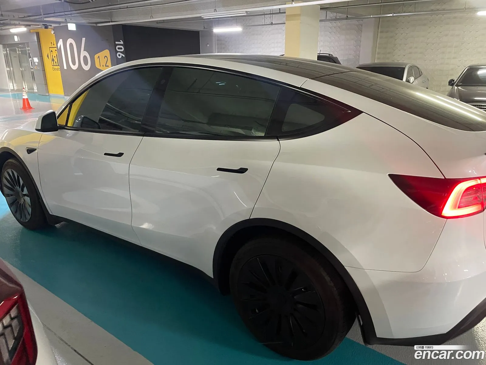 Model Y Rwd - фотография 3509324