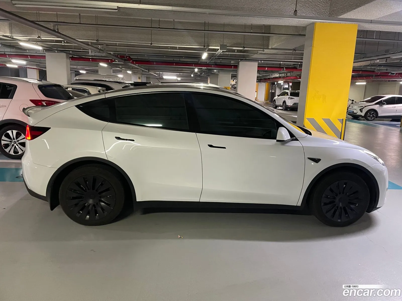 Model Y Rwd - фотография 3509323