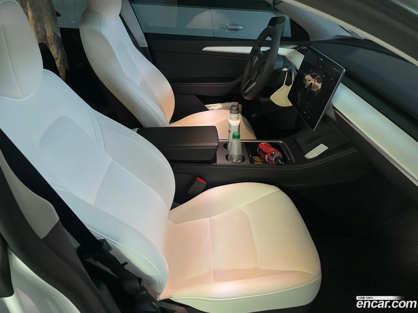 Model Y Rwd - фотография 3509321
