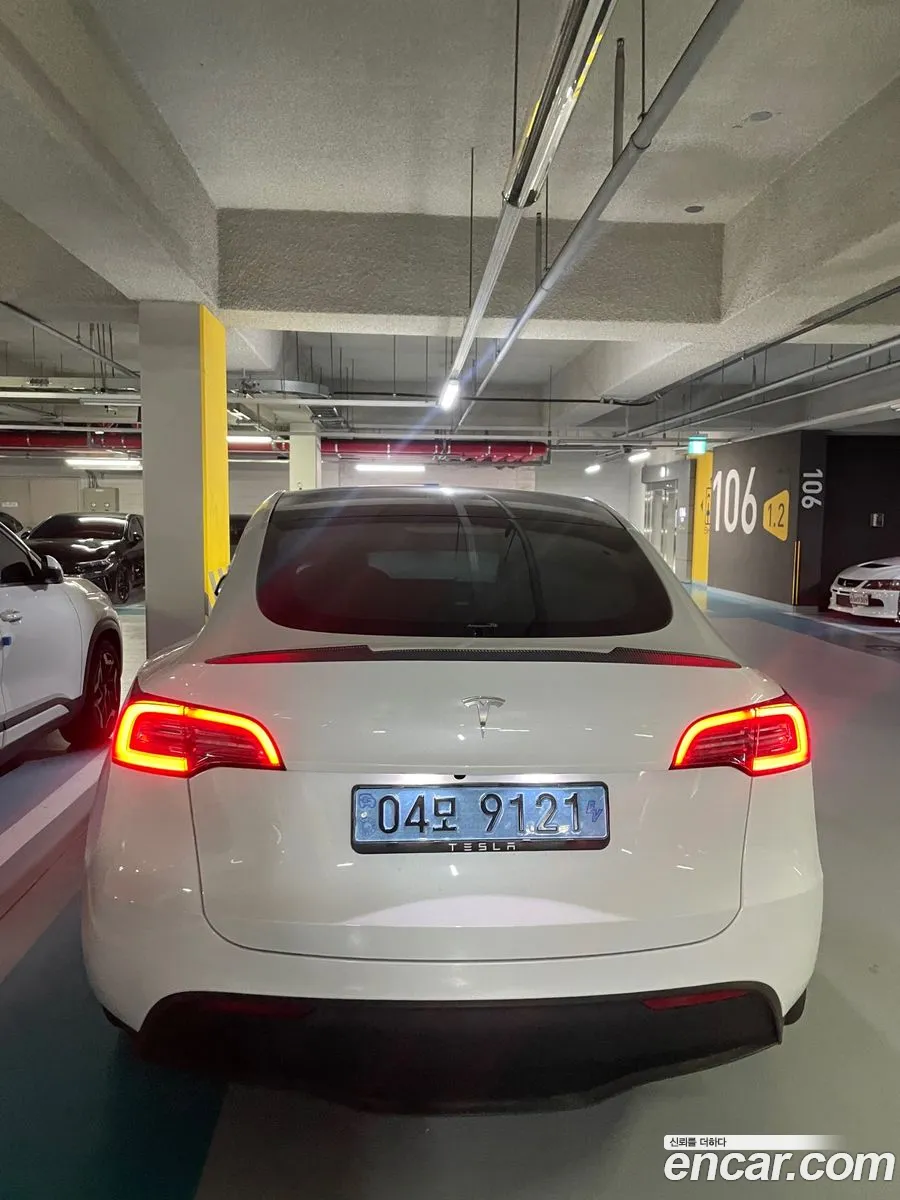 Model Y Rwd - фотография 3509320