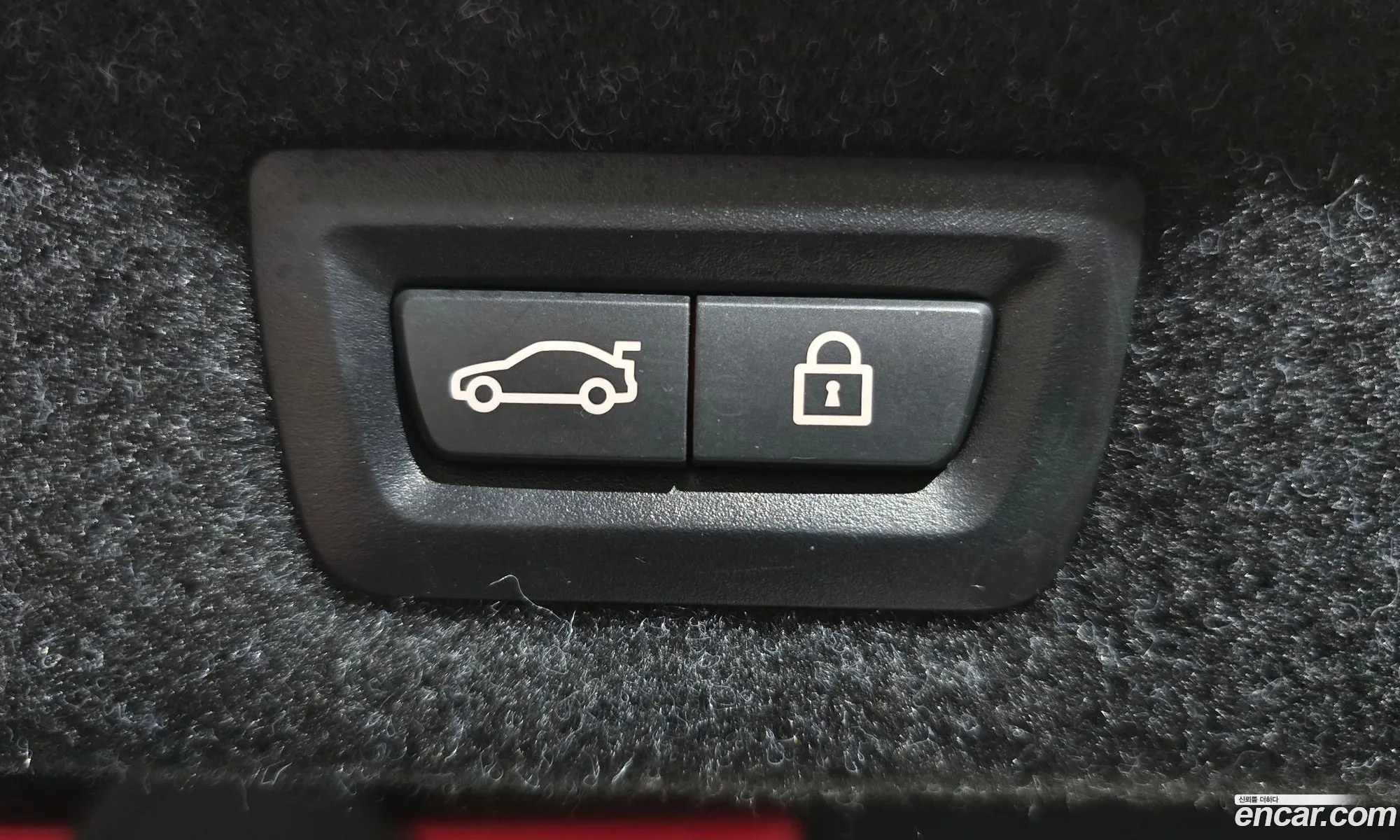 5 Series G30 530I M Sports Plus - фотография 2455793