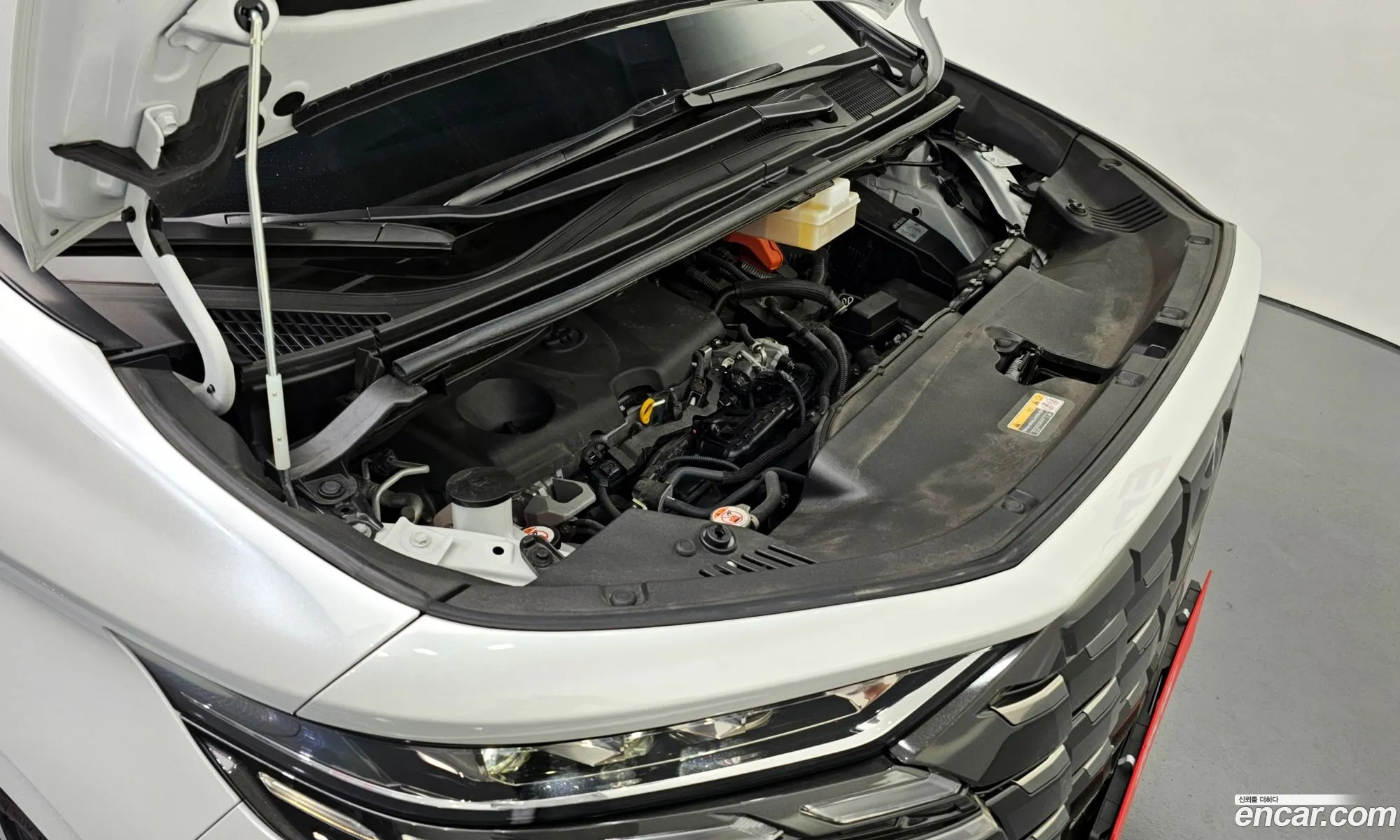 Korex Auto Trade - фотография 3607074