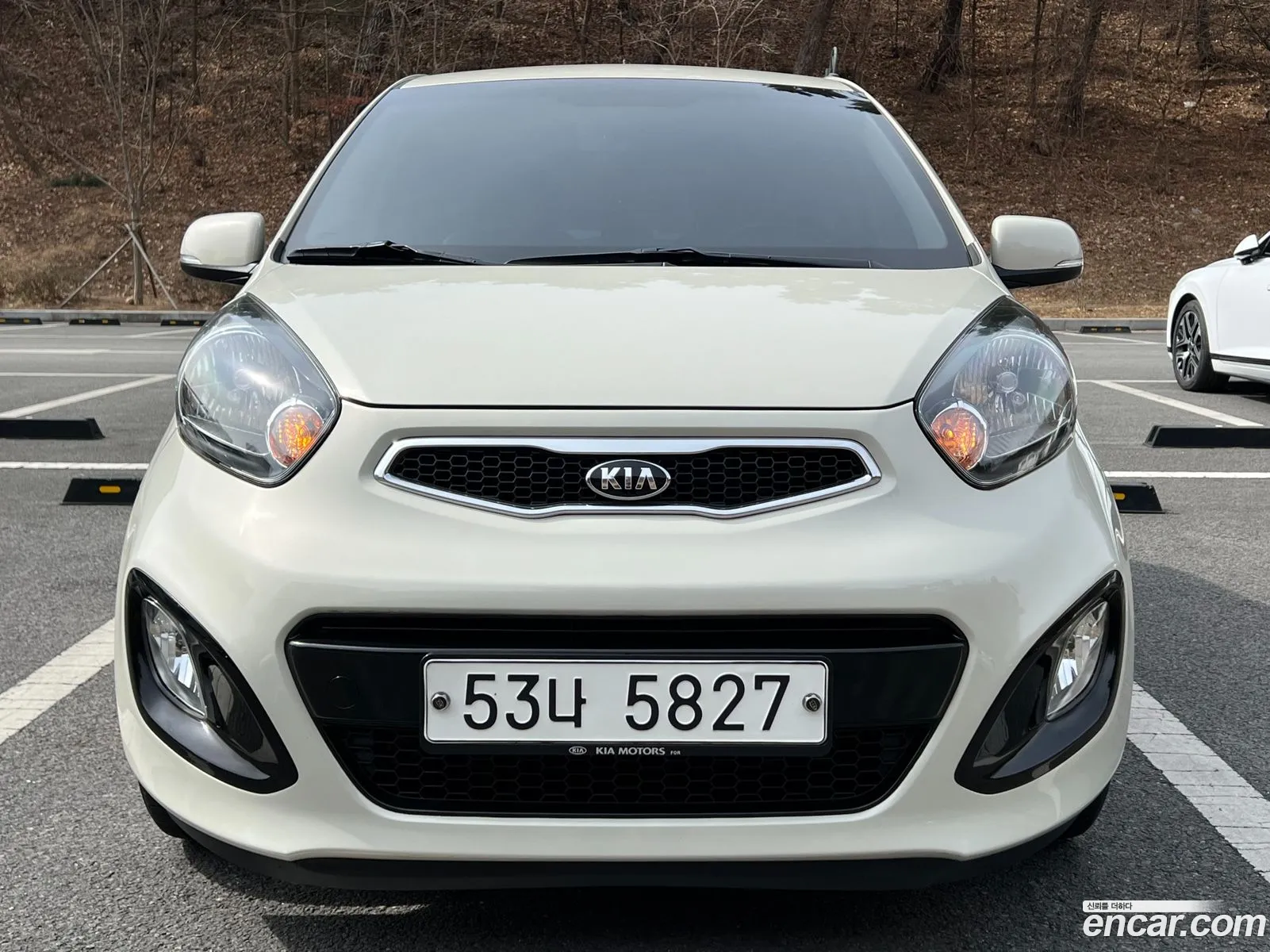 Korex Auto Trade - фотография 12514105