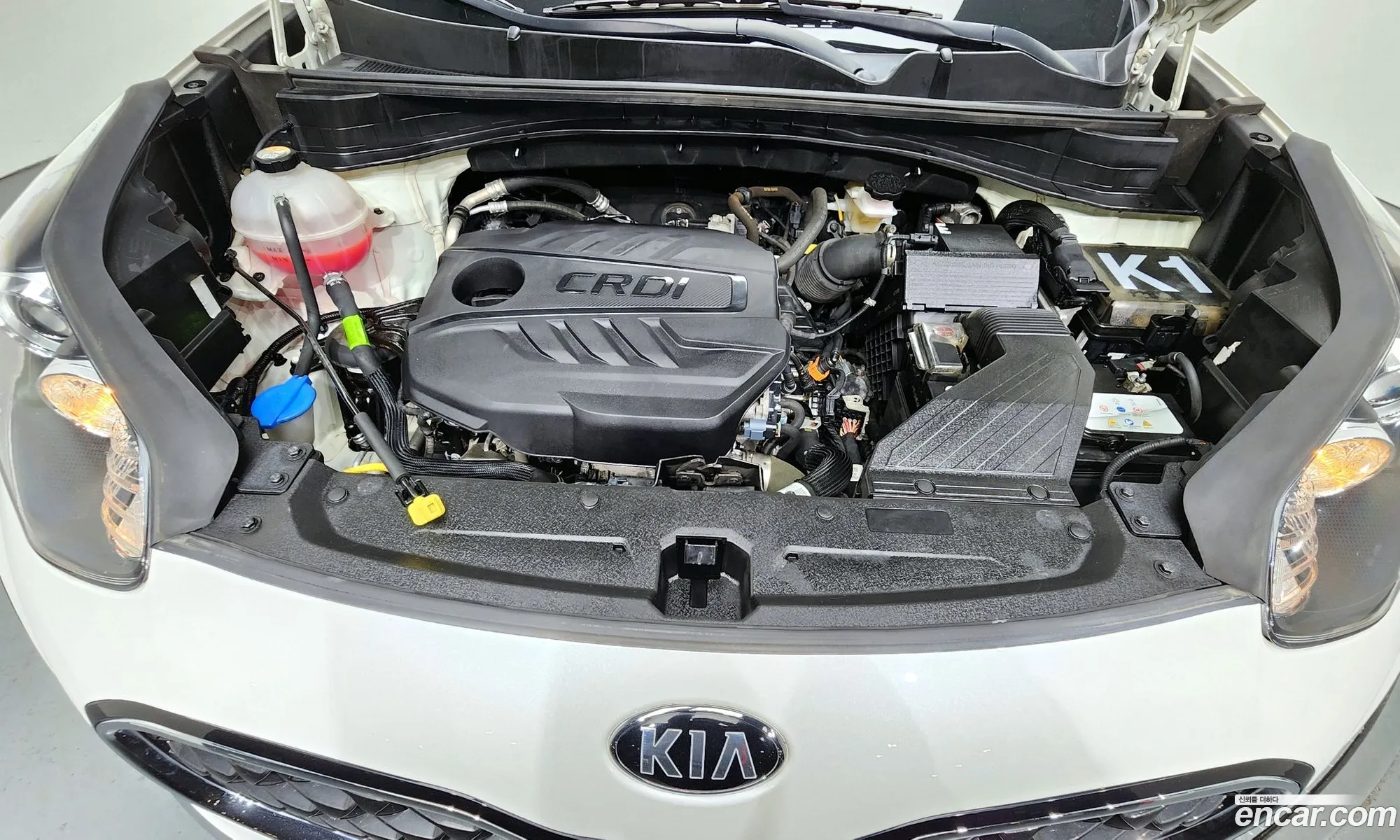 Korex Auto Trade - фотография 13170227