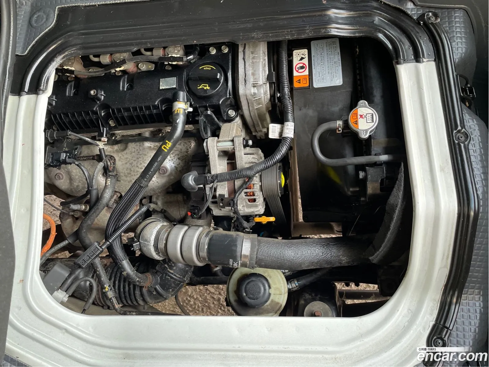 Kia Pregio Standard Cap 2019 - фотография 12404480