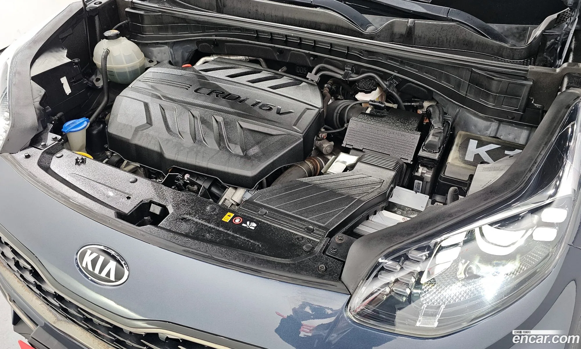 Korex Auto Trade - фотография 12514643