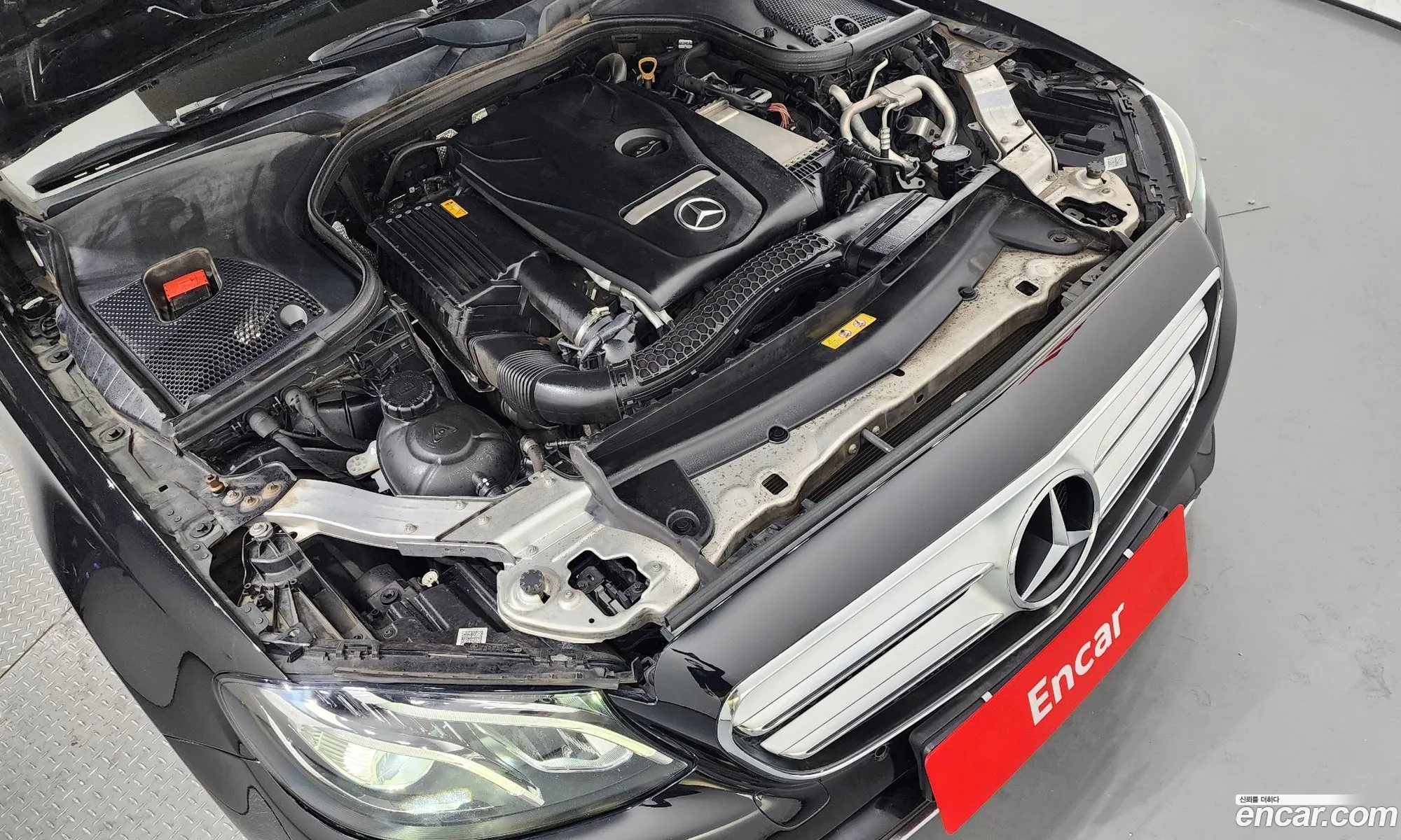 Korex Auto Trade - фотография 11806433