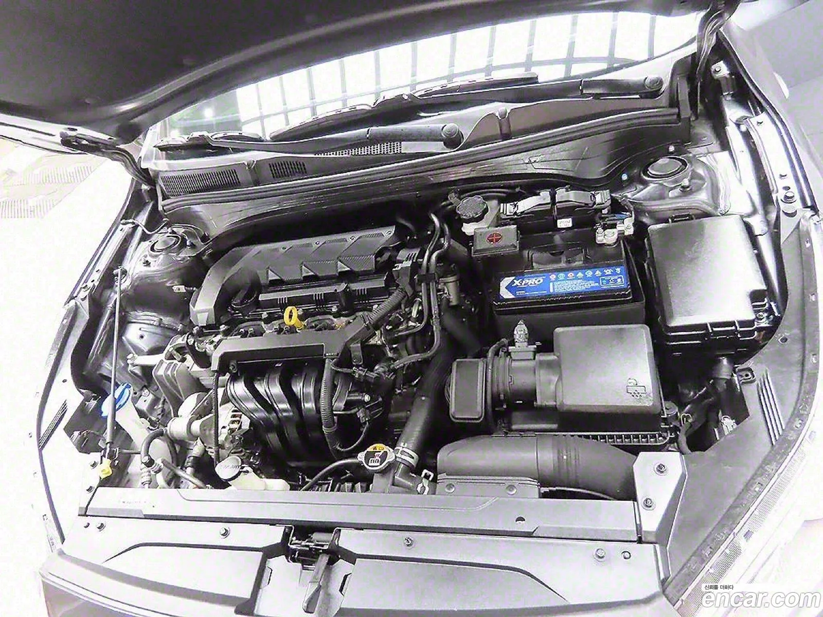 Korex Auto Trade - фотография 12420048