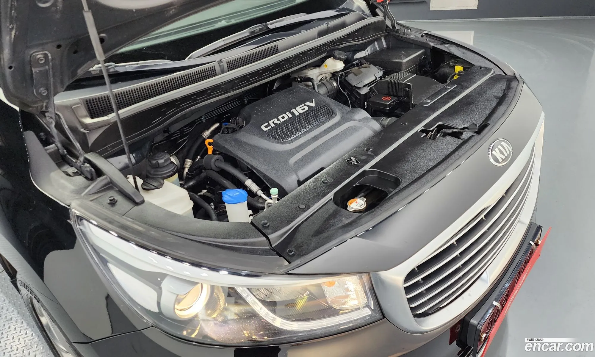 Korex Auto Trade - фотография 12508841