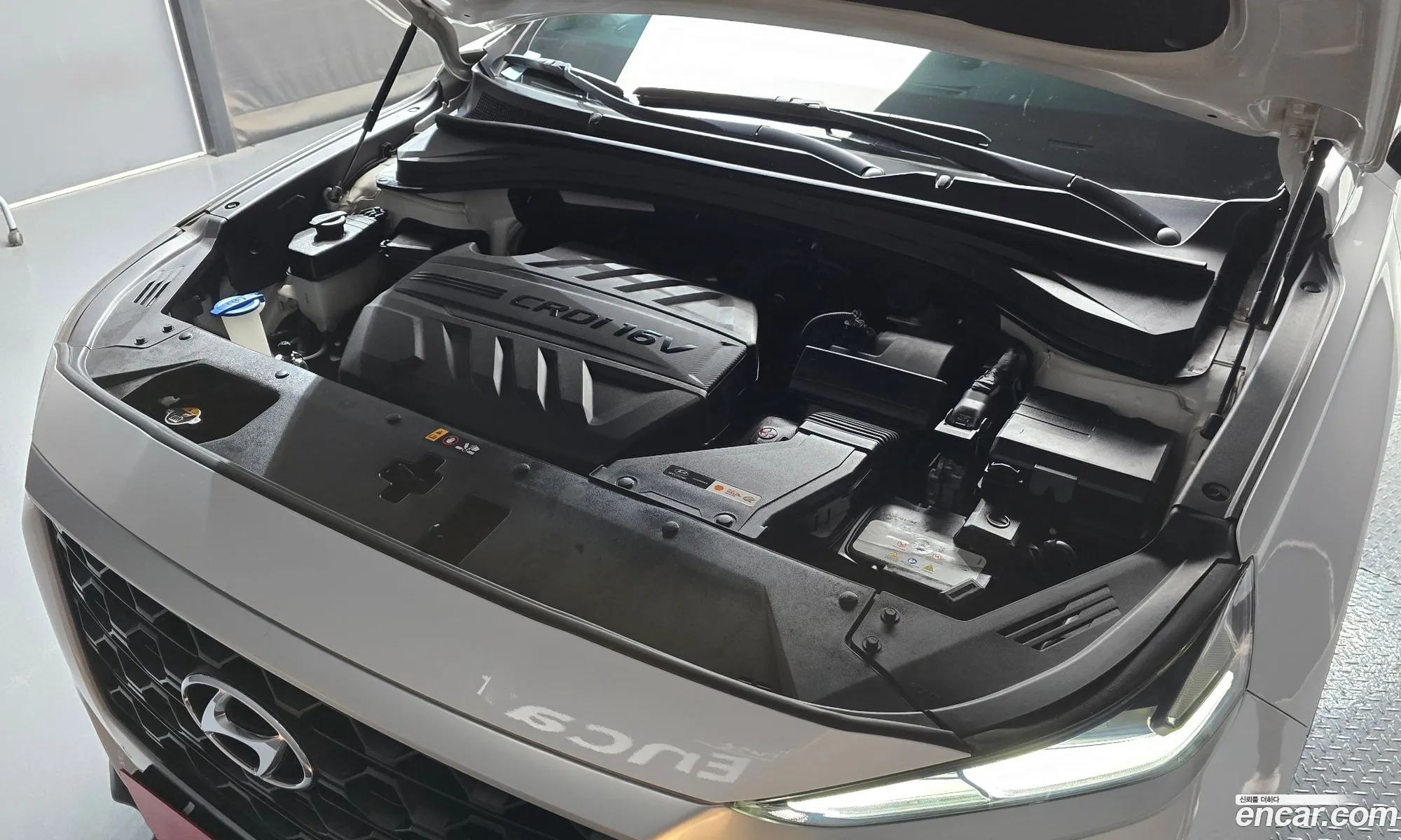 Korex Auto Trade - фотография 12450531
