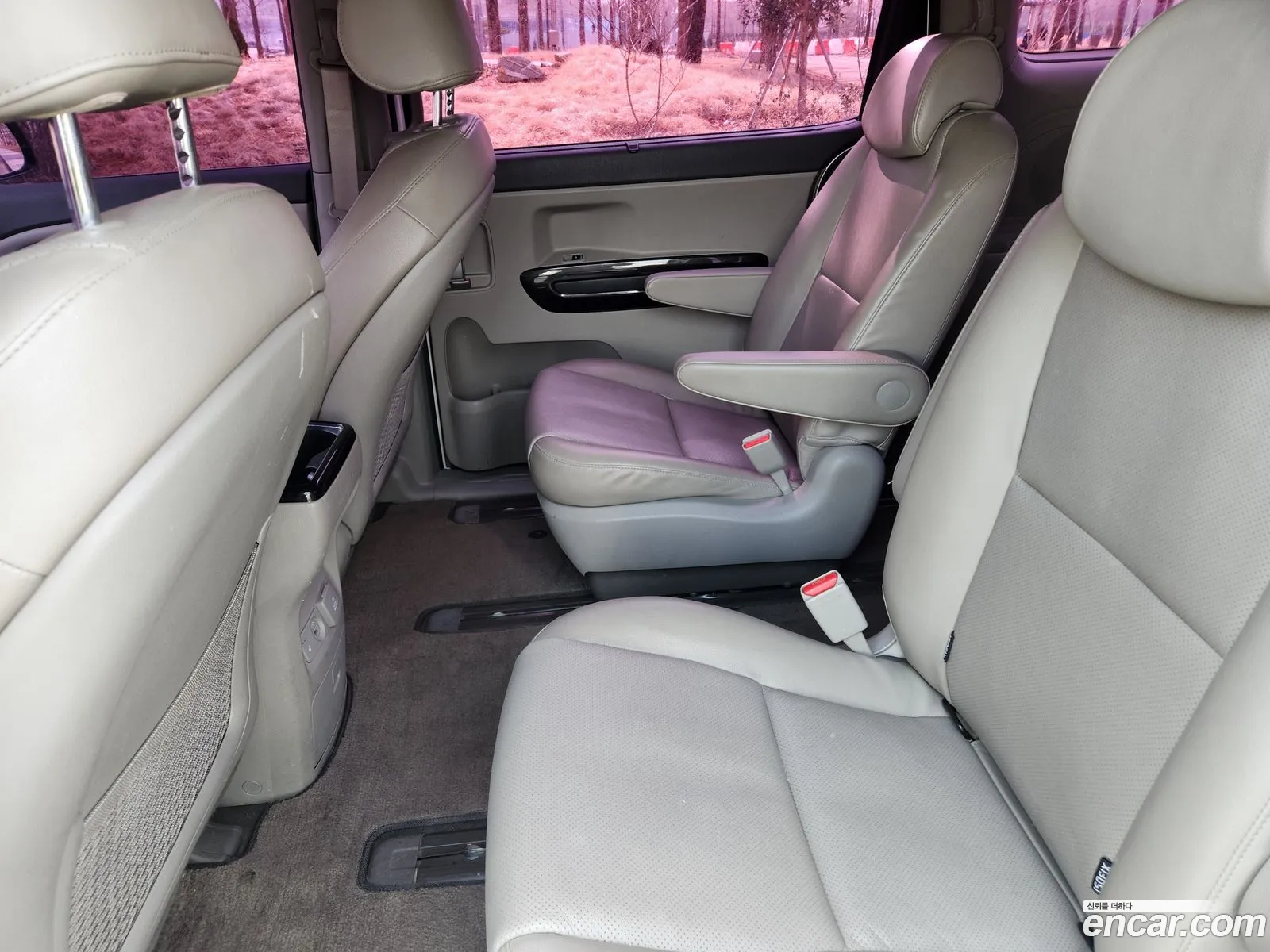 All New Carnival 9 -Seater Prestige - фотография 12406966