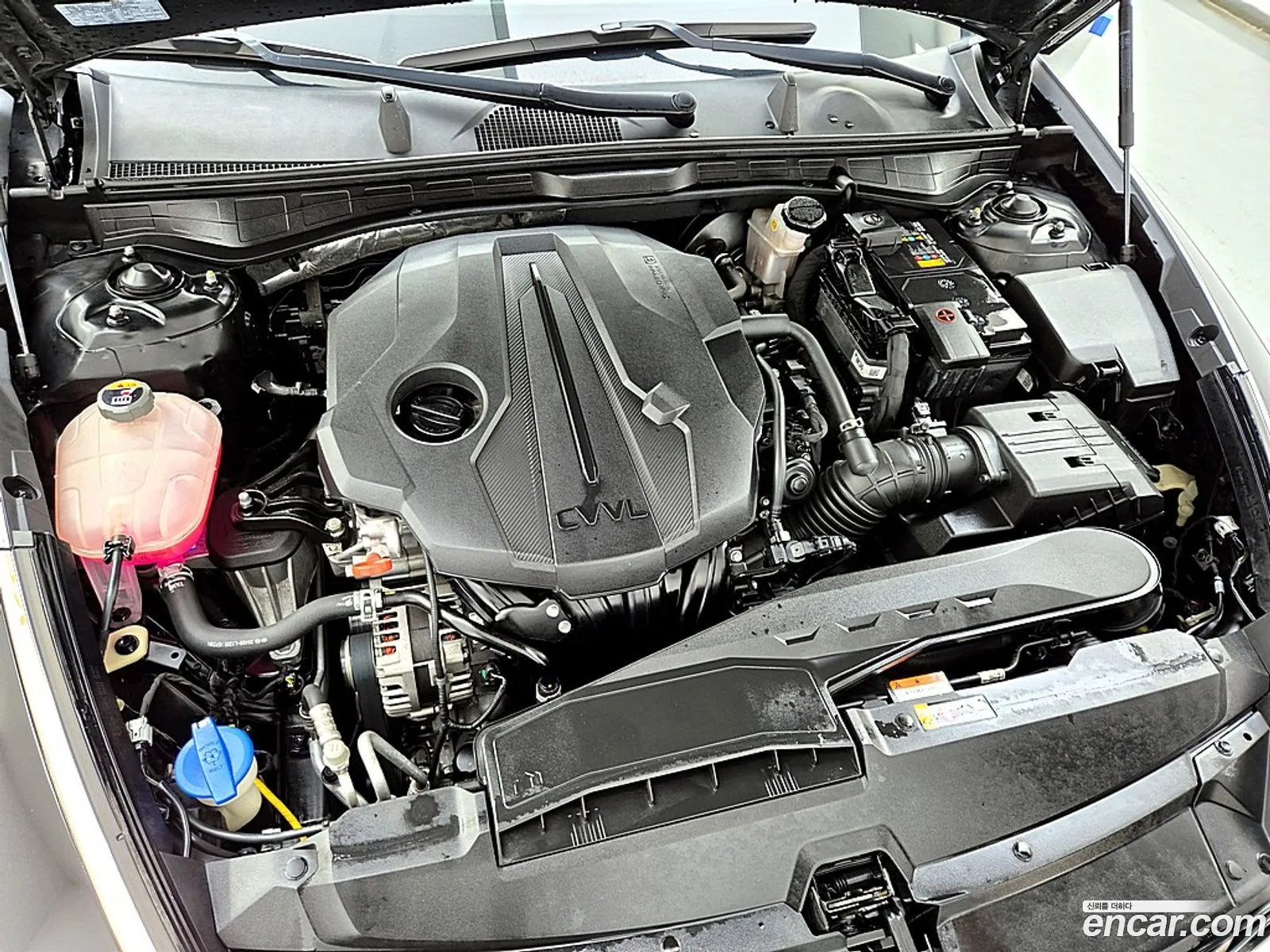 Korex Auto Trade - фотография 254857