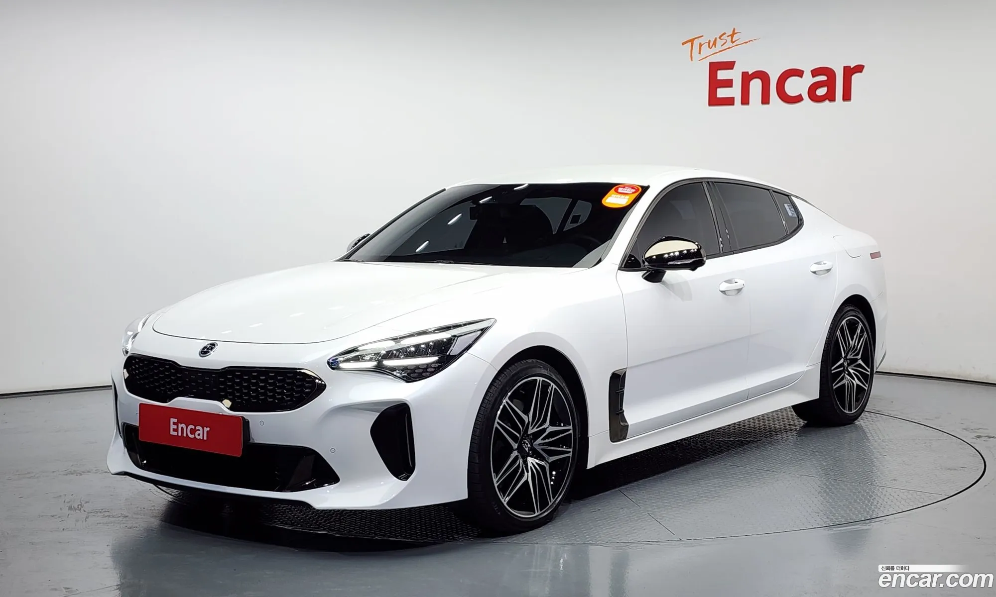 Stinger Meister 25 Awd Masters - фотография 11589997