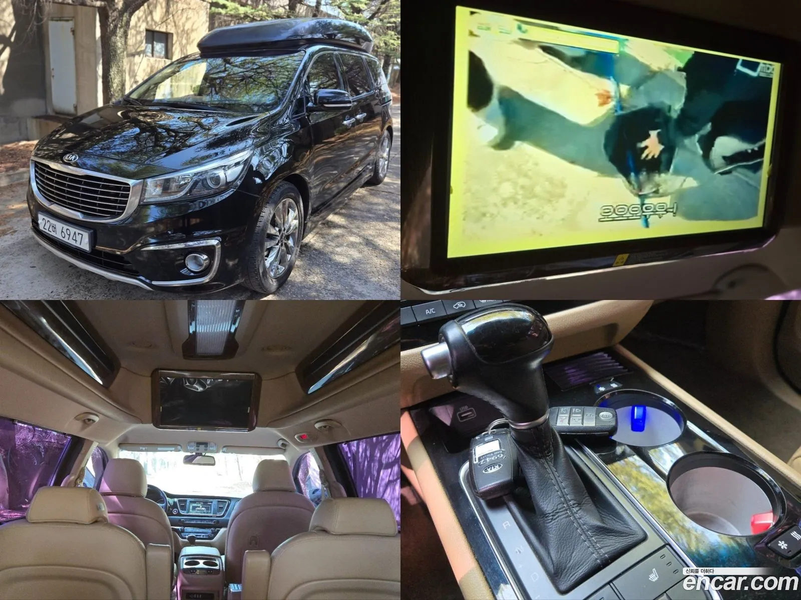 All New Carnival 9 -Seater High Limousine Prestige - фотография 12442544