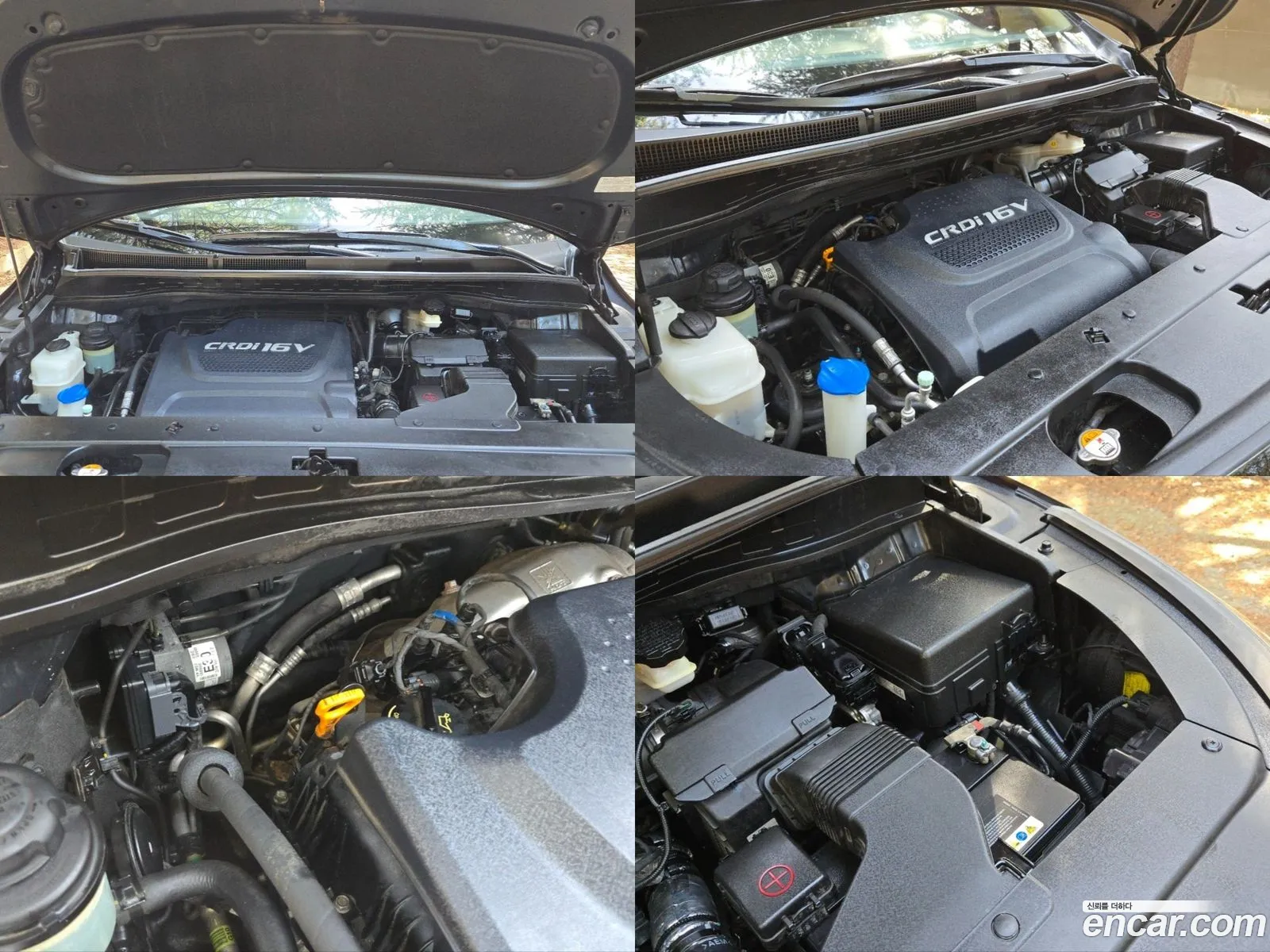 Korex Auto Trade - фотография 12492639