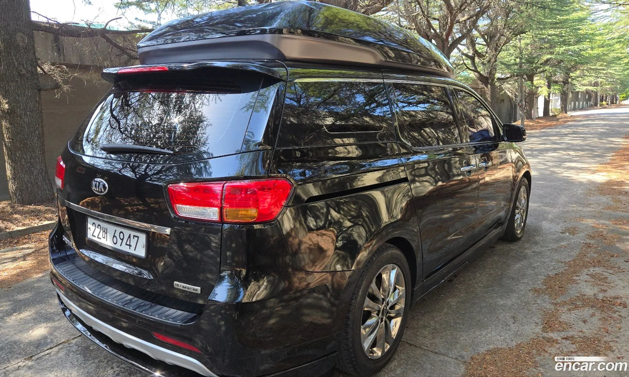 All New Carnival 9 -Seater High Limousine Prestige - фотография 12442546