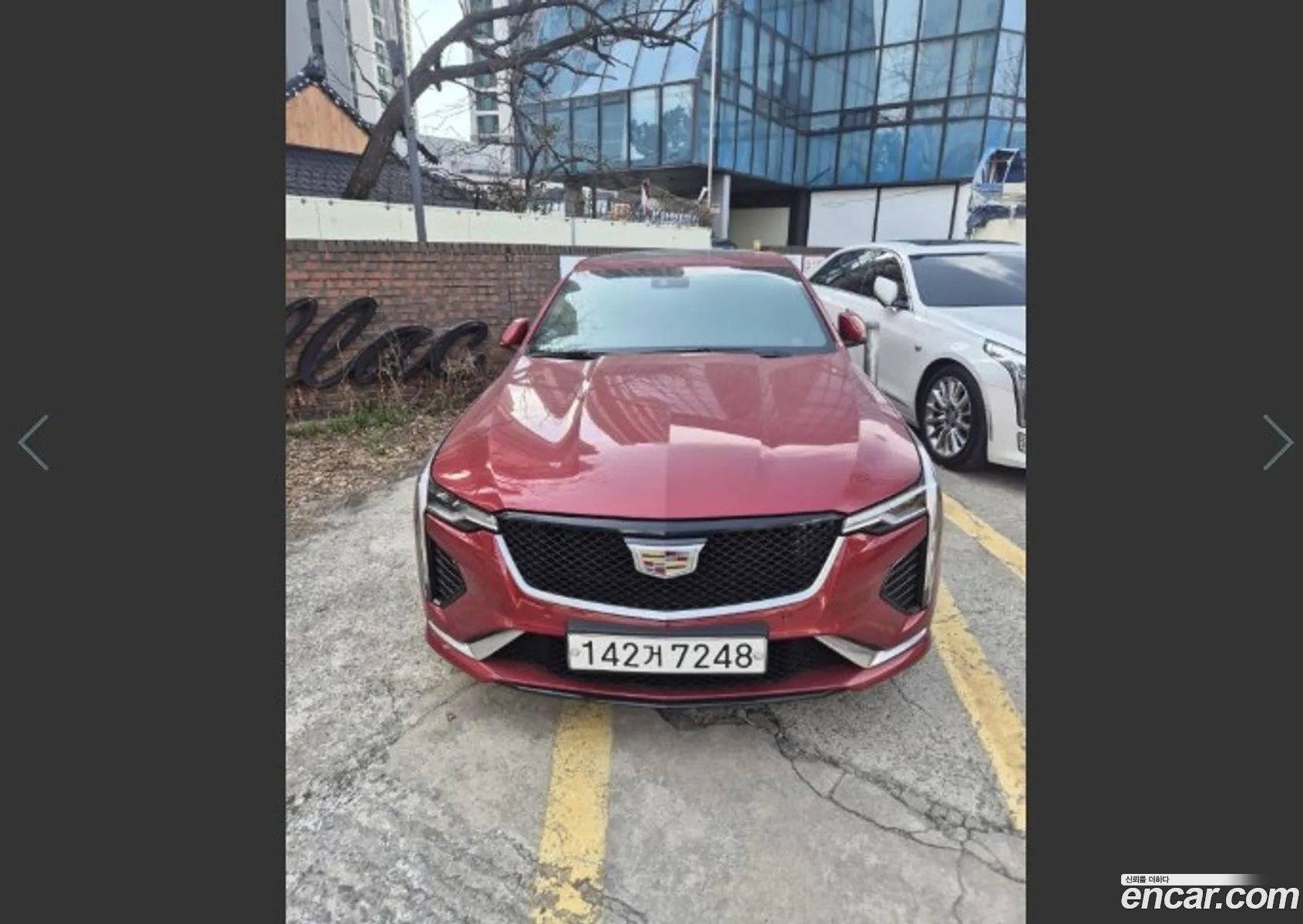 Cadillac Ct4 20 Sport 2020 - фотография 3522902