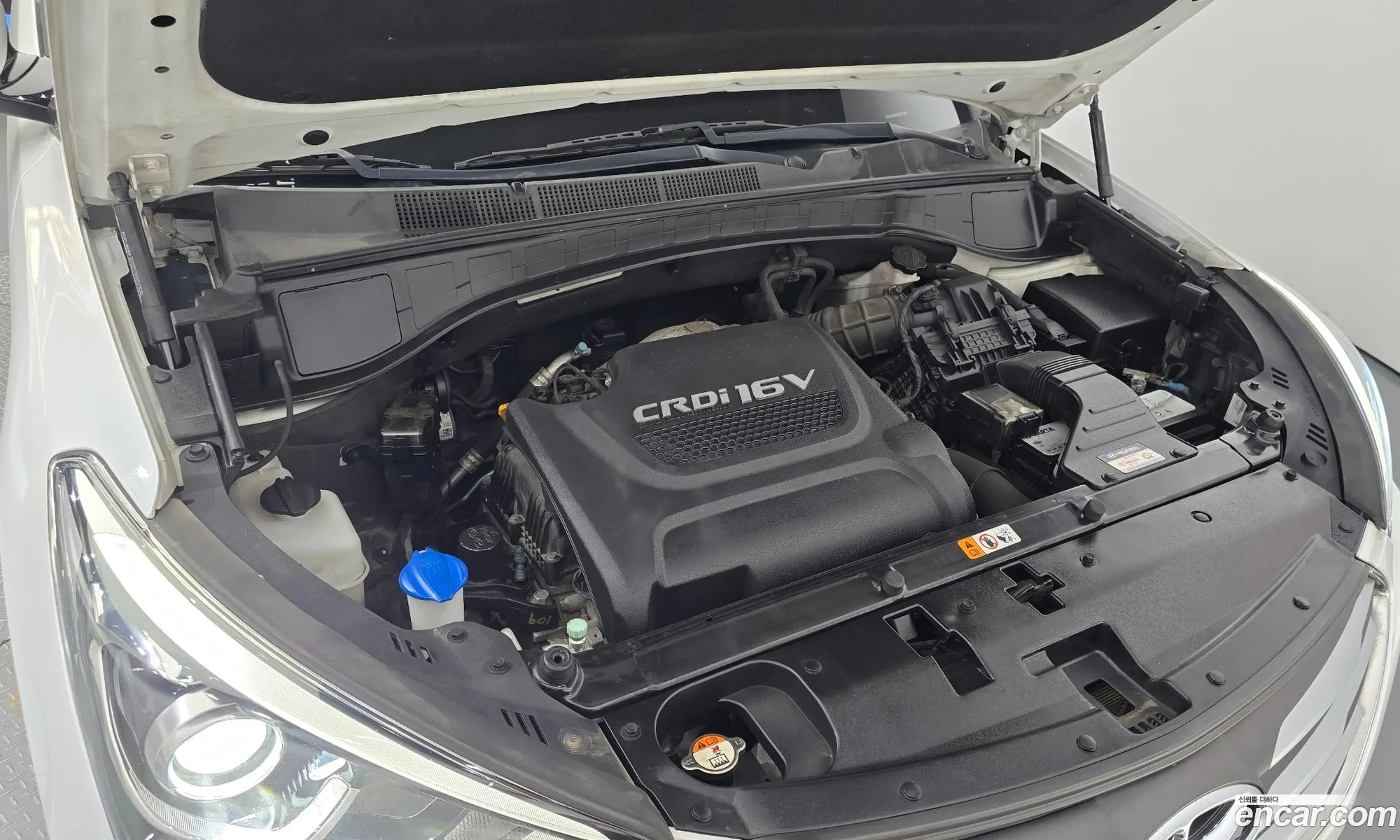 Korex Auto Trade - фотография 13047544