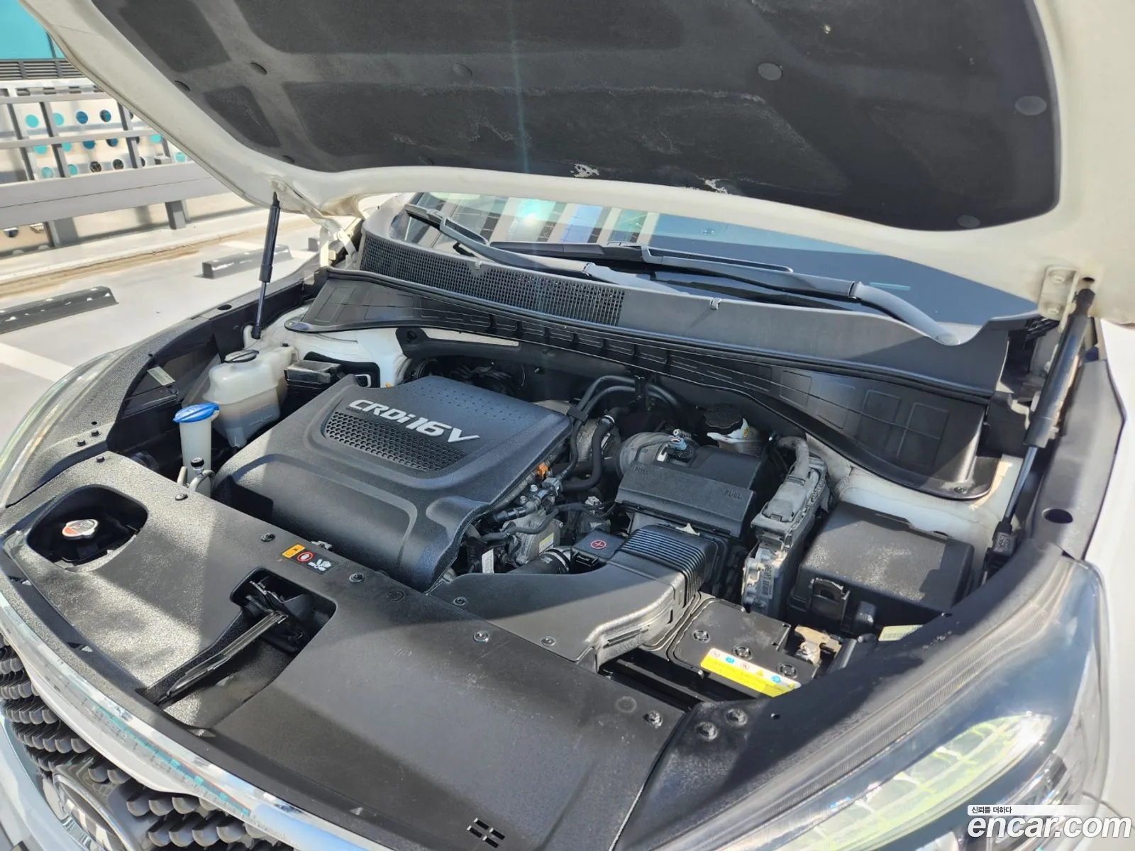 All New Sorento Diesel 20 2Wd Noblesse - фотография 12401008