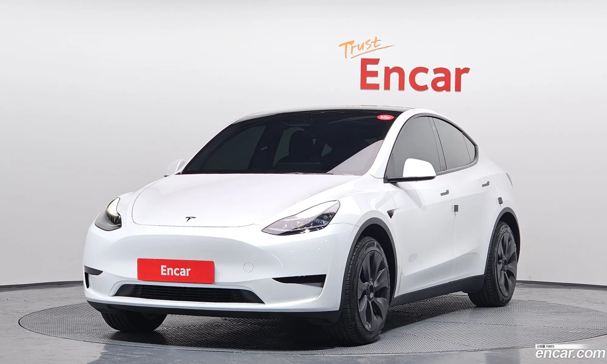 Model Y Rwd - фотография 3488708