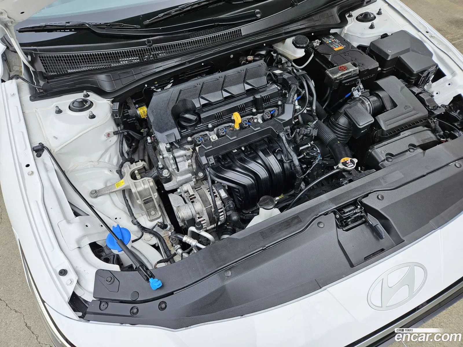 Korex Auto Trade - фотография 11710266