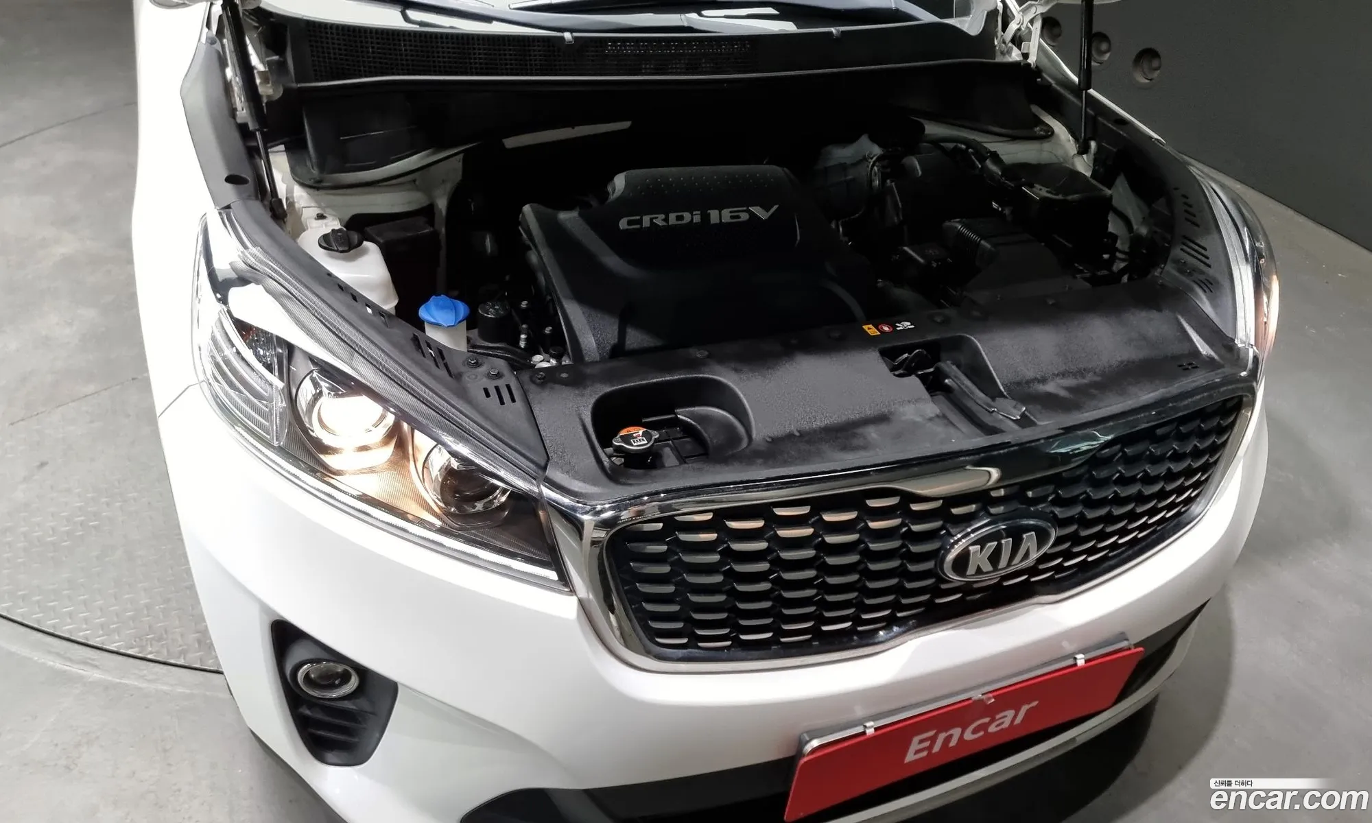 Korex Auto Trade - фотография 12700437